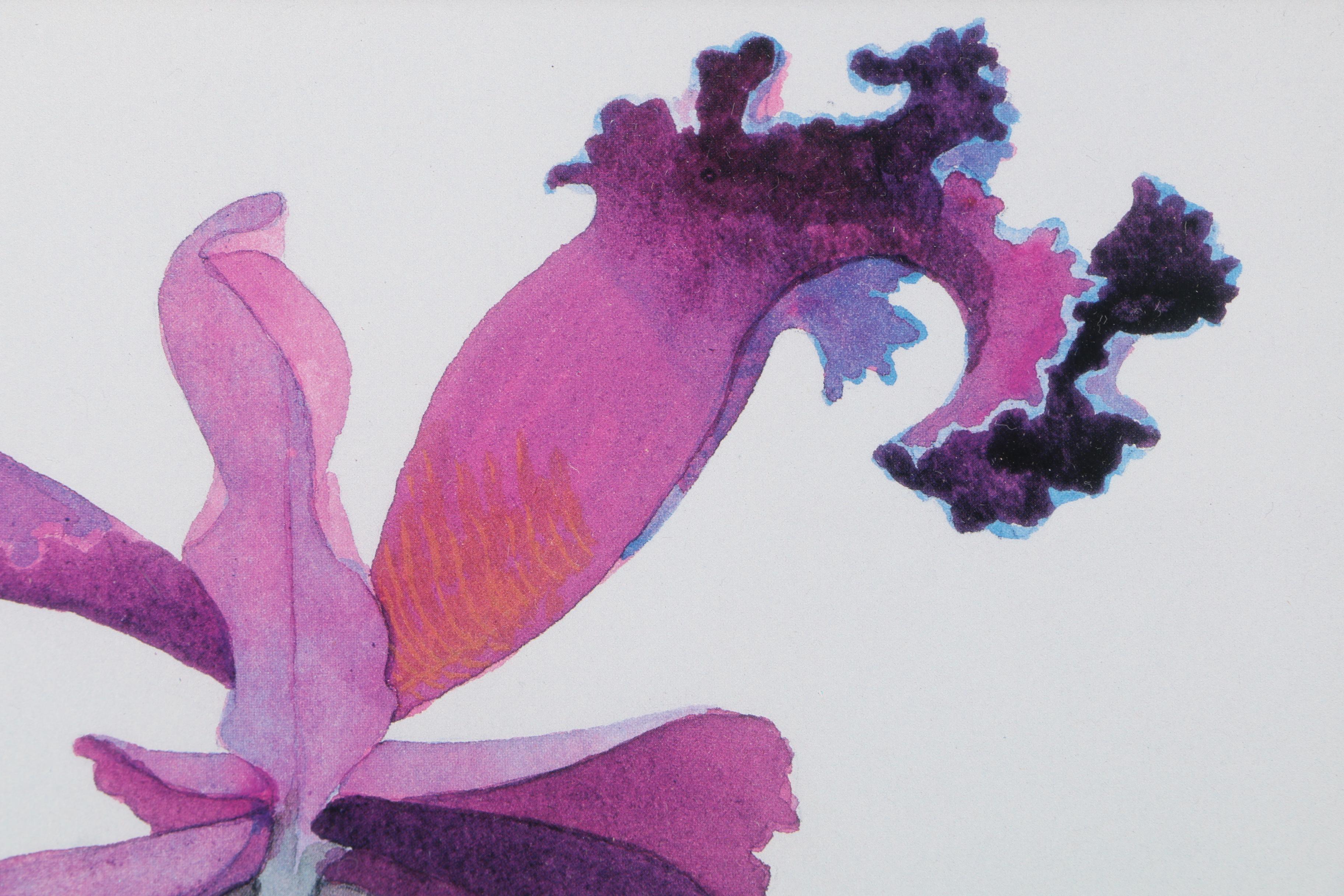 John Thomas Offset Lithographs on Paper of Flowers