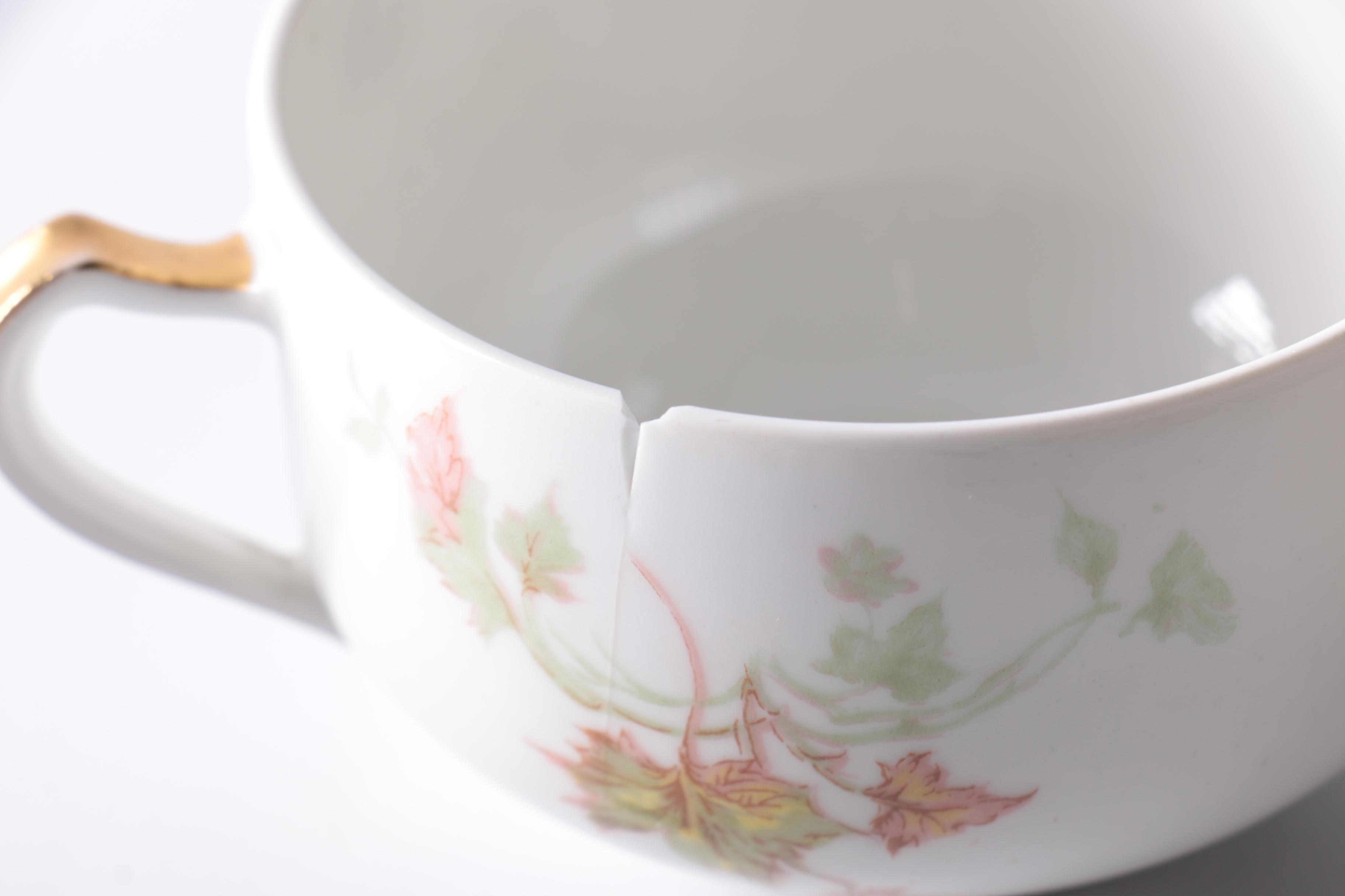 Haviland Limoges "Autumn Leaf" China Tableware