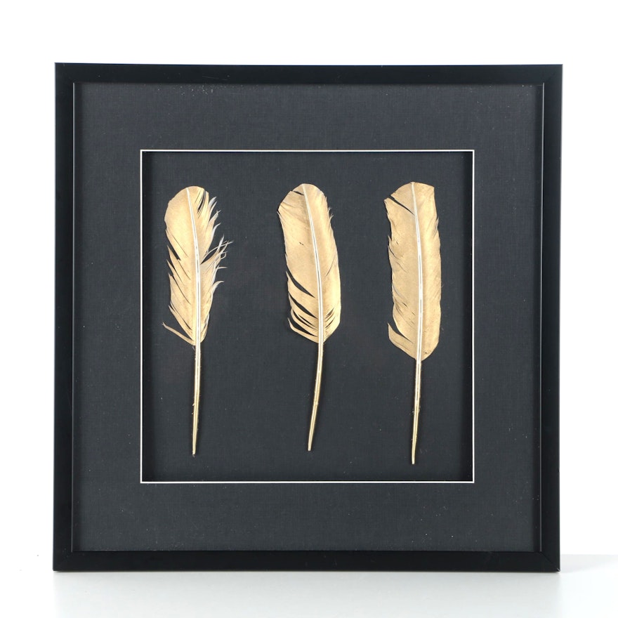 Framed Gold Tone Painted Feathers