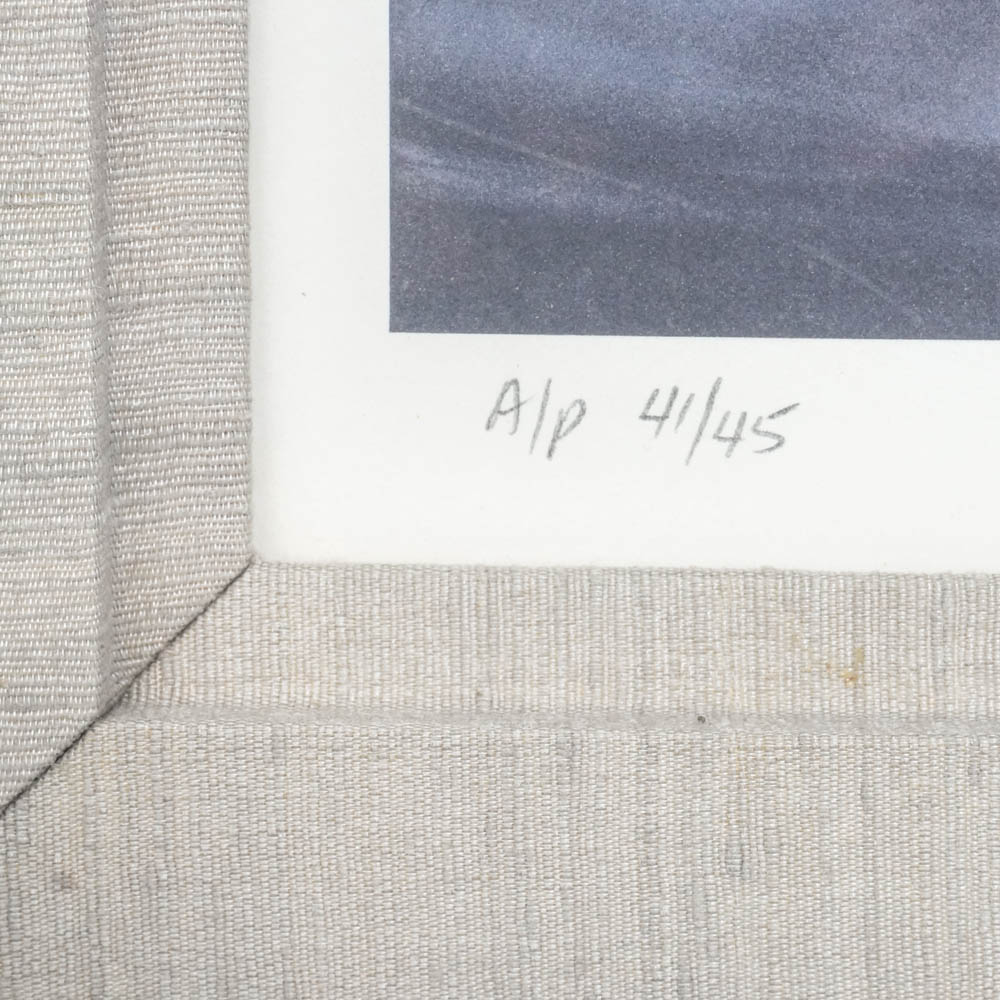 Robert Wyland Limited Edition Offset Lithograph "Tails of Great Whales"