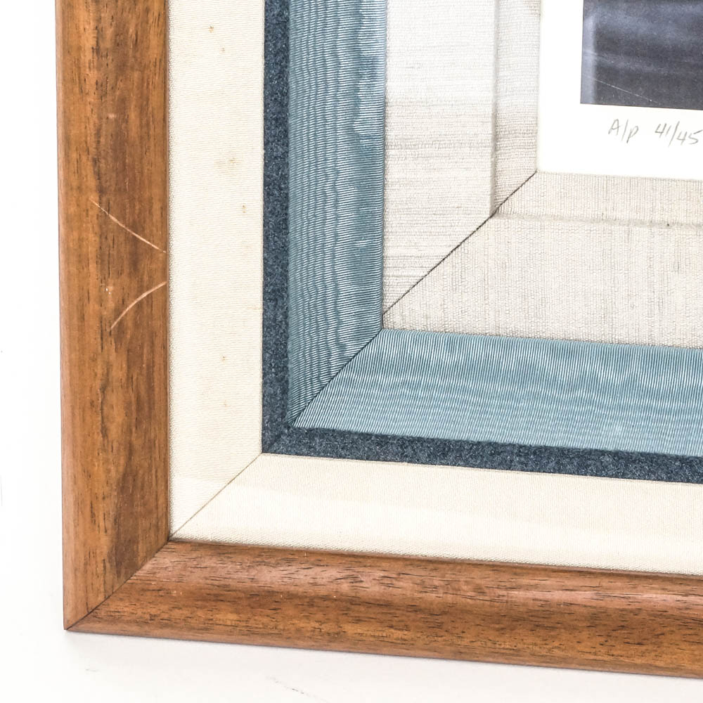 Robert Wyland Limited Edition Offset Lithograph "Tails of Great Whales"