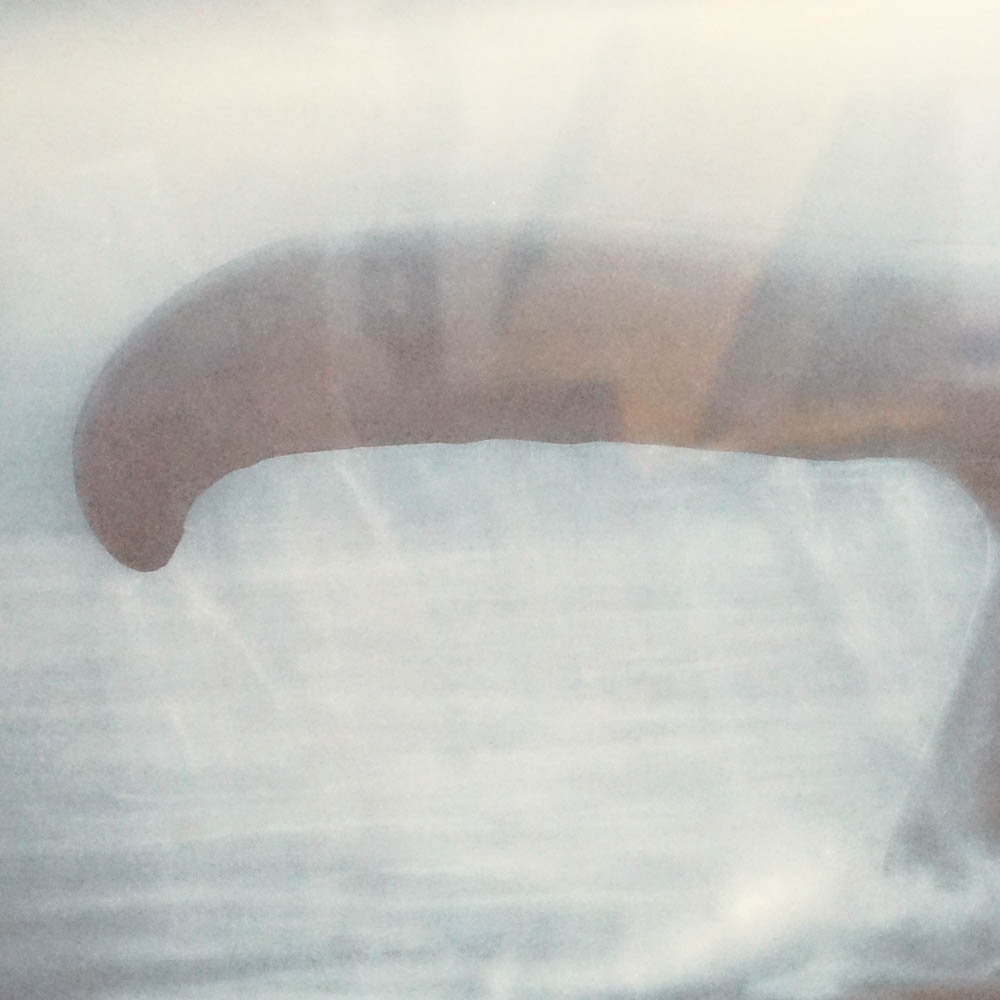 Robert Wyland Limited Edition Offset Lithograph "Tails of Great Whales"