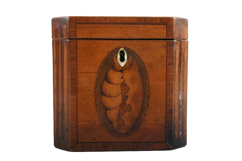 19th-Century English Tea Caddy with Shell Form Marquetry Inlay