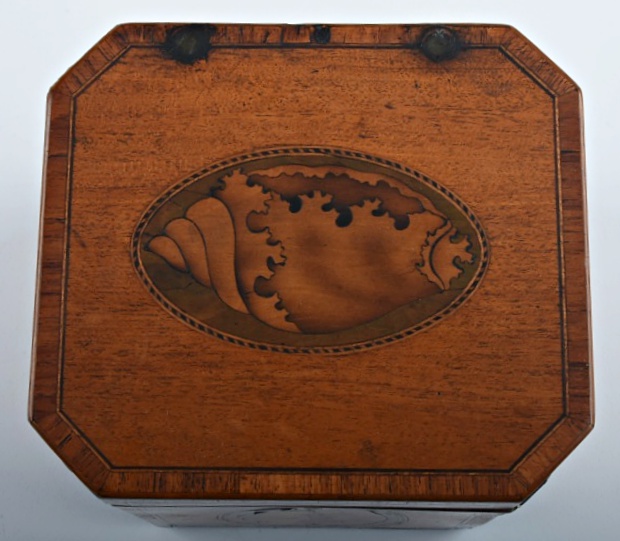 19th-Century English Tea Caddy with Shell Form Marquetry Inlay