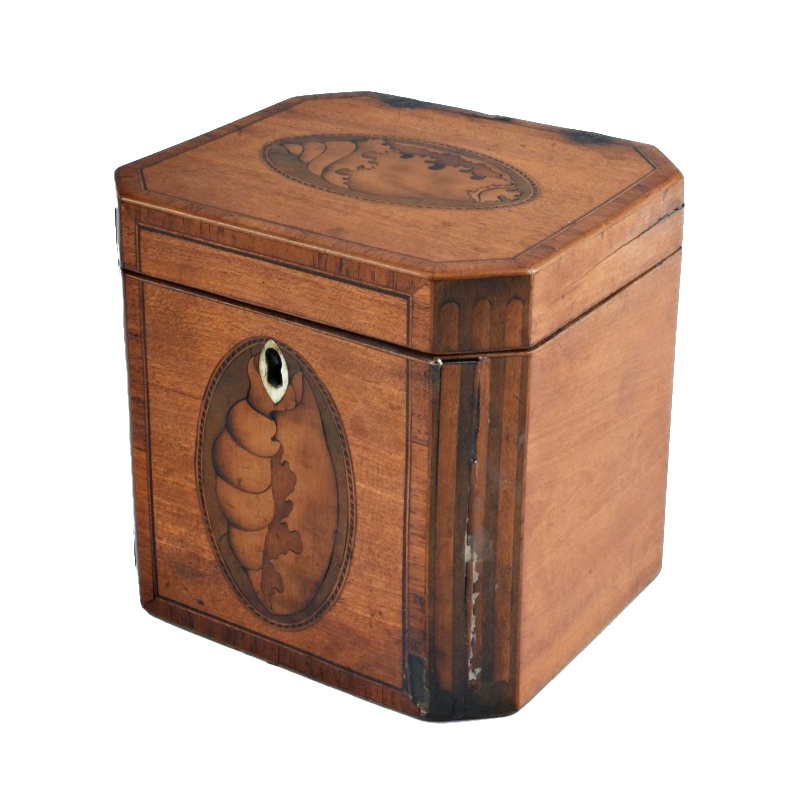 19th-Century English Tea Caddy with Shell Form Marquetry Inlay