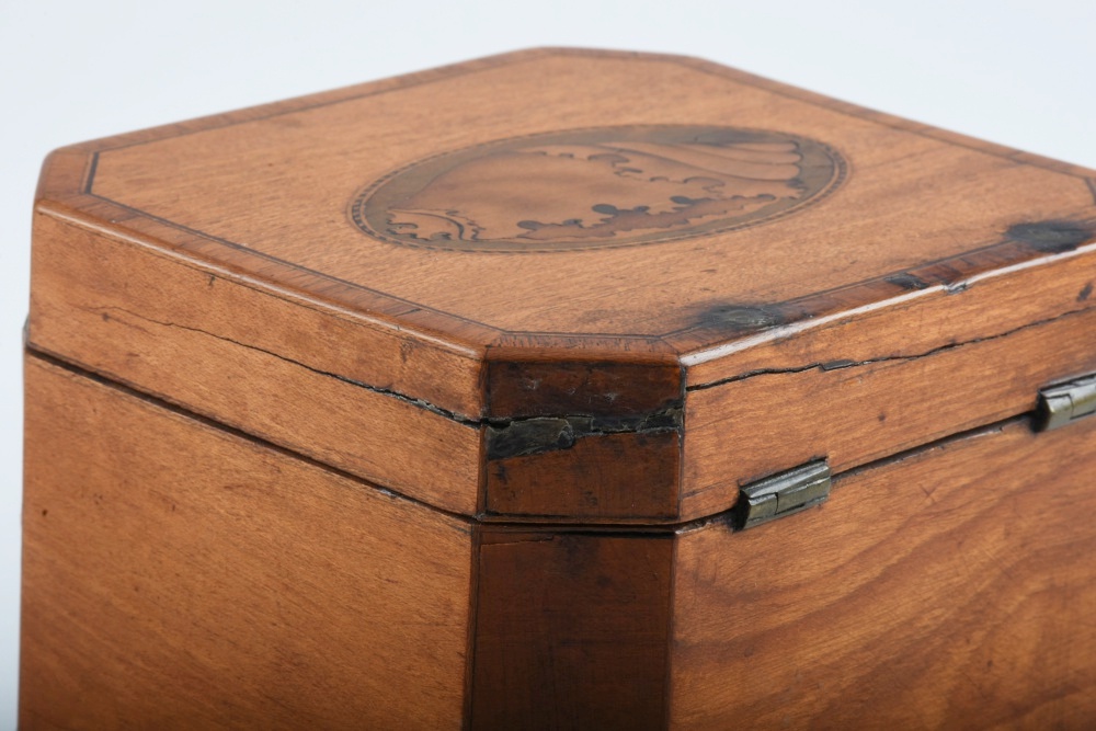 19th-Century English Tea Caddy with Shell Form Marquetry Inlay