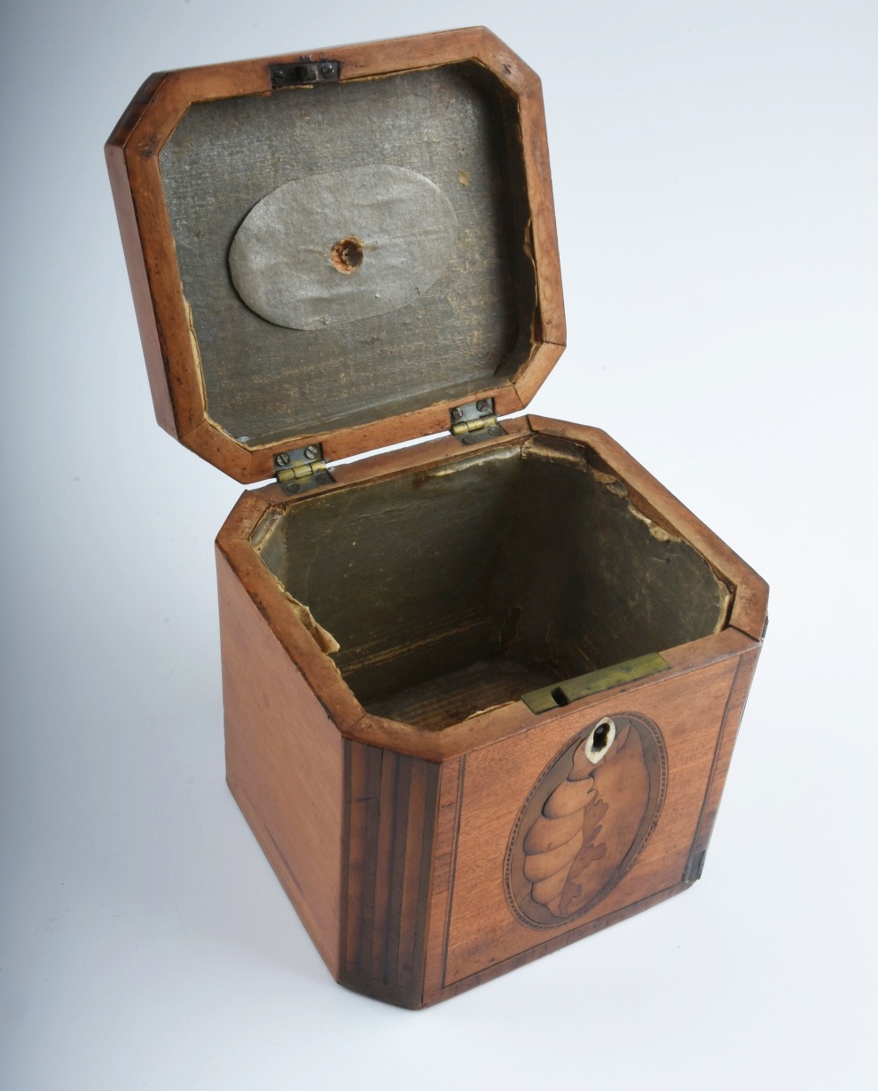 19th-Century English Tea Caddy with Shell Form Marquetry Inlay