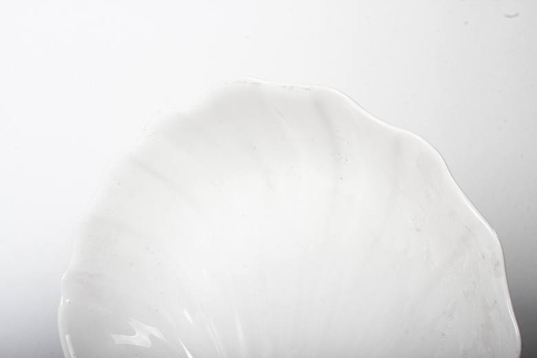 Studio Nova Seashell Dish