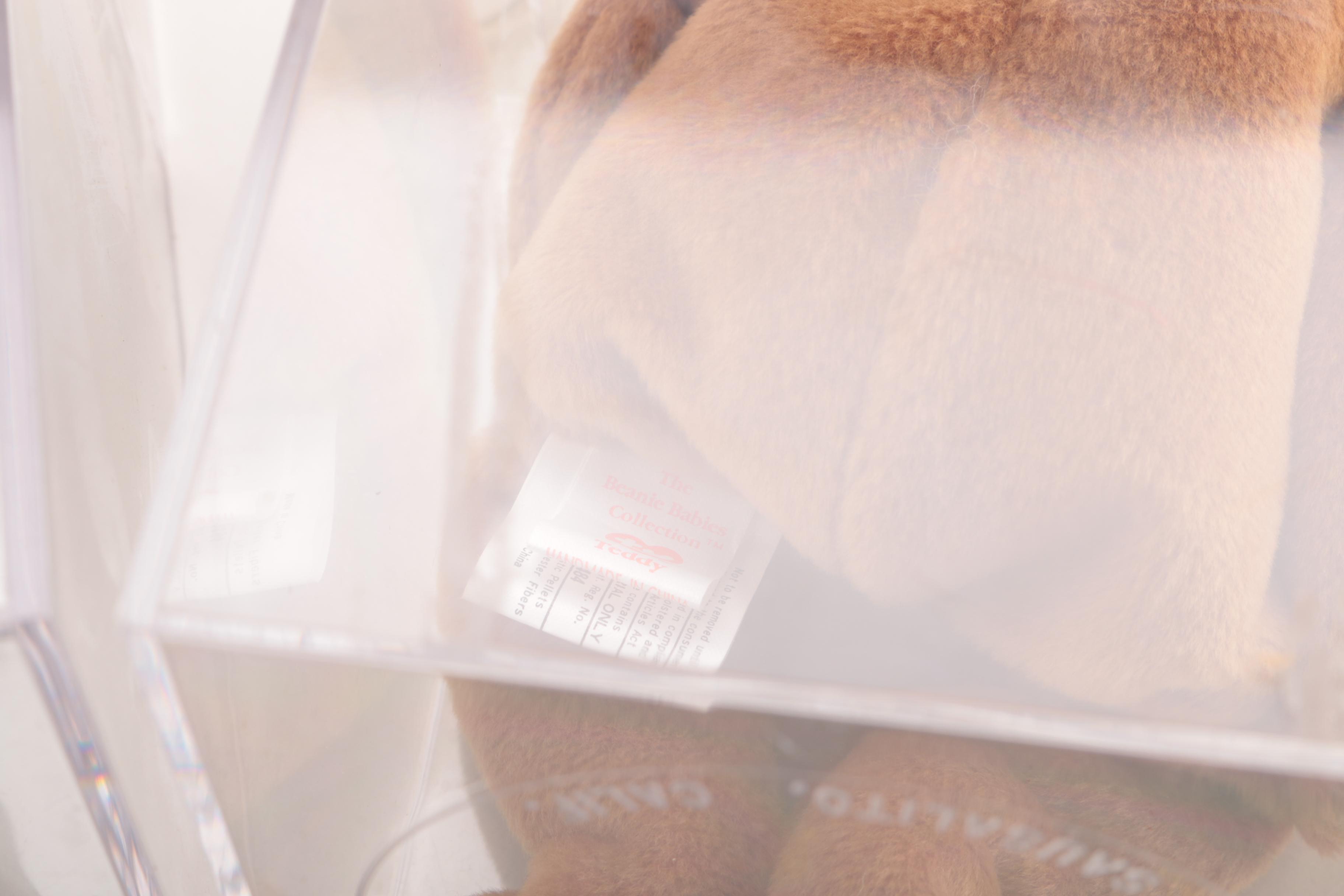 Beanie Babies in Display Cases