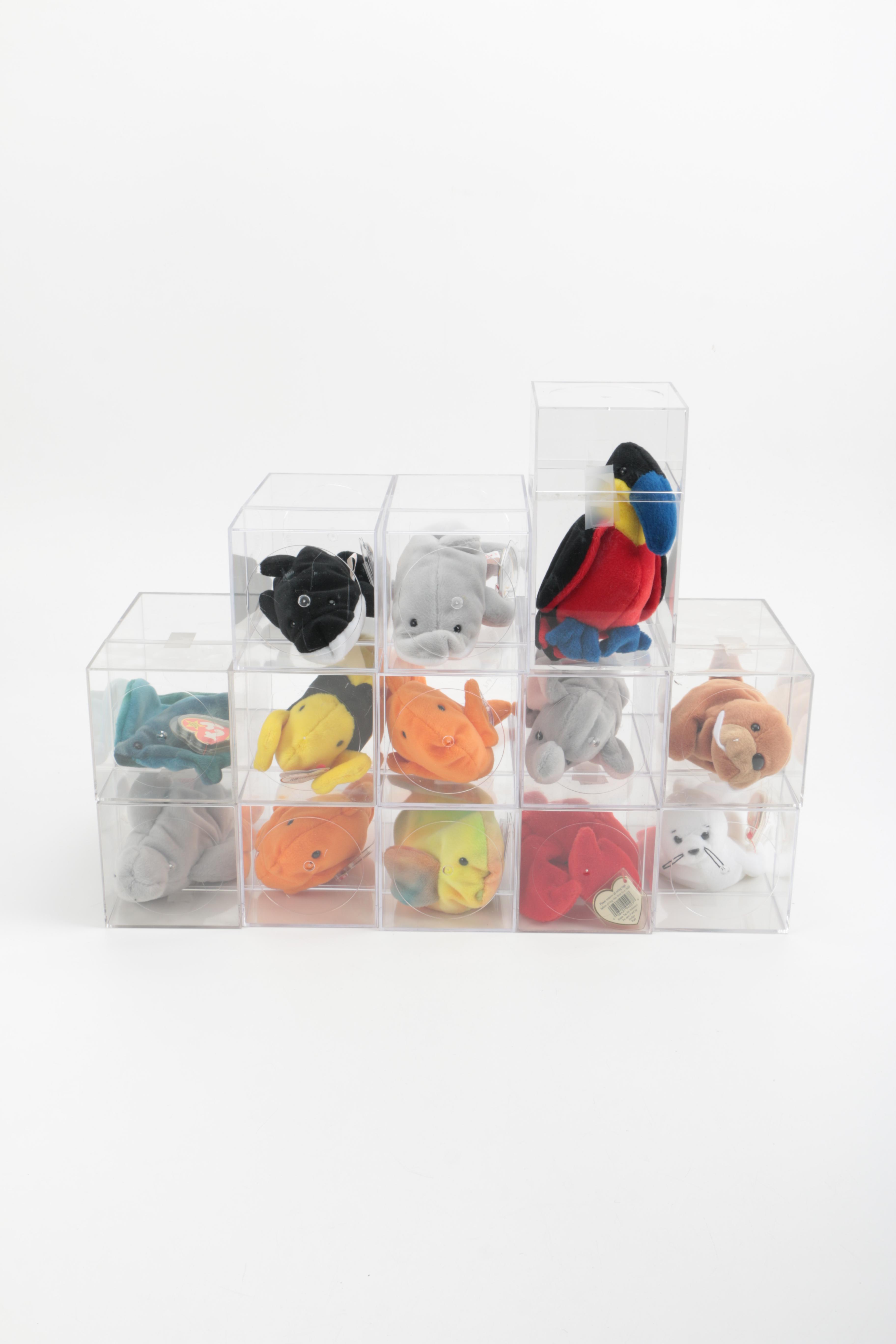 Beanie Baby Collection in Cases
