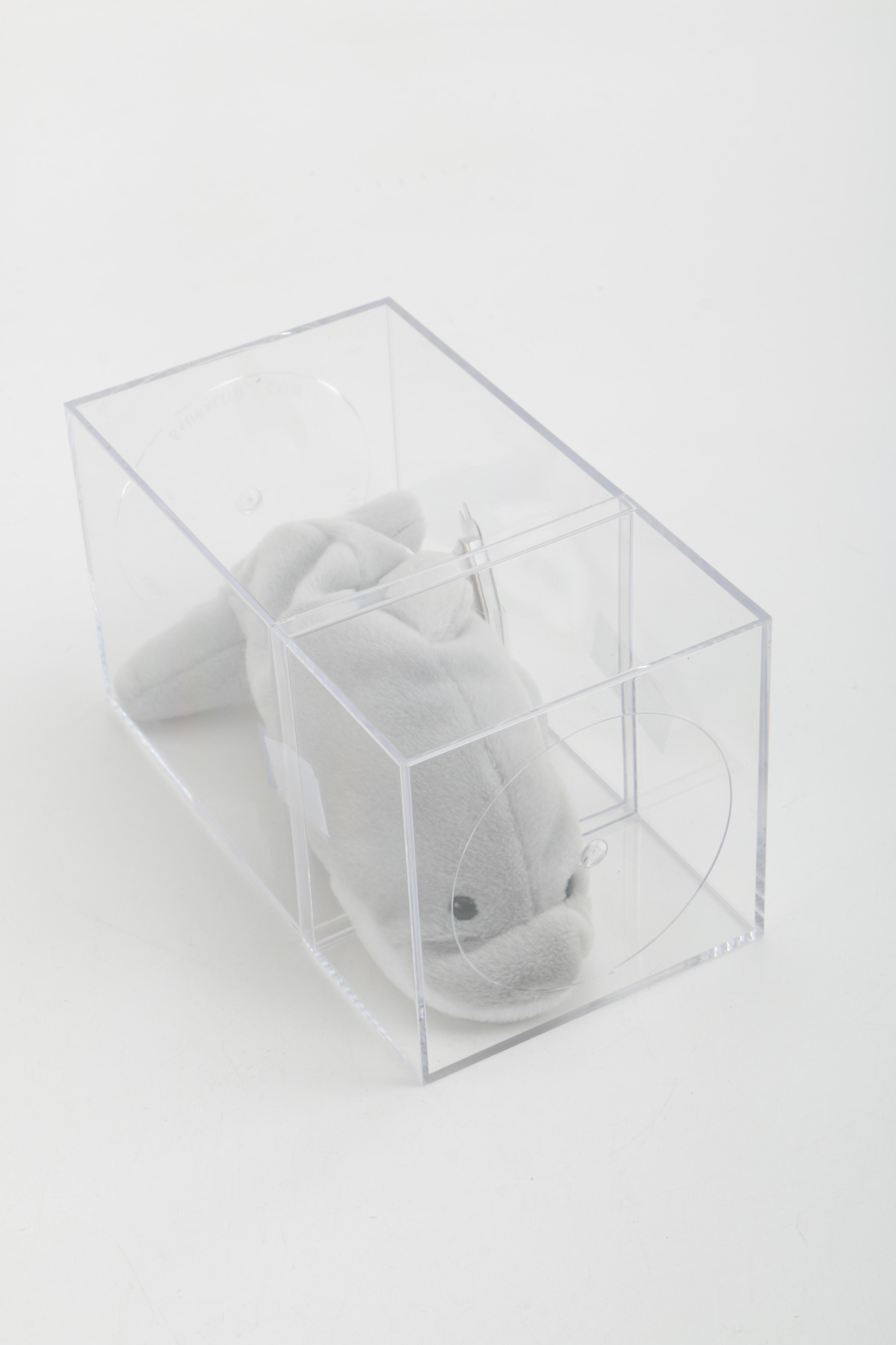 Beanie Baby Collection in Cases