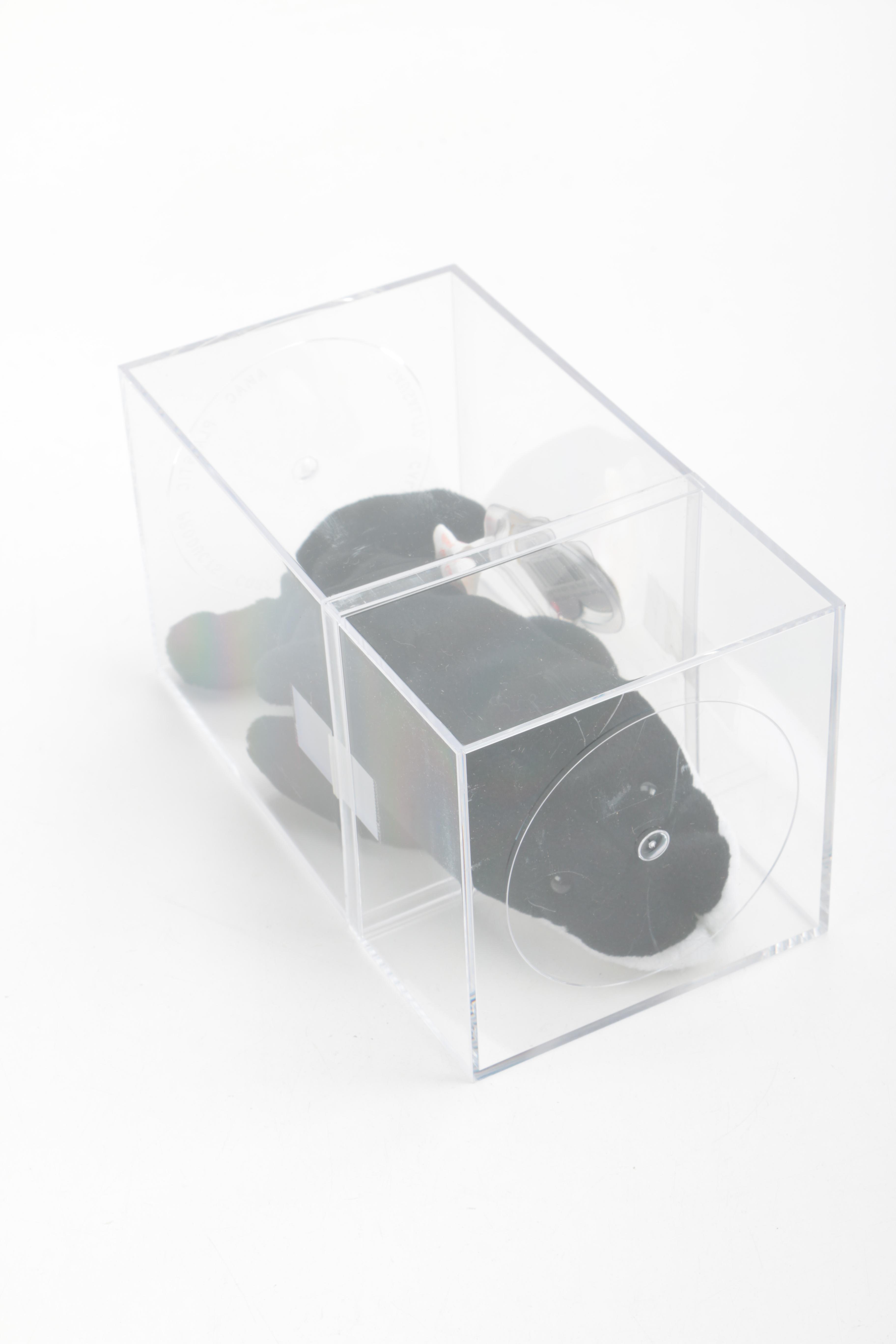 Beanie Baby Collection in Cases