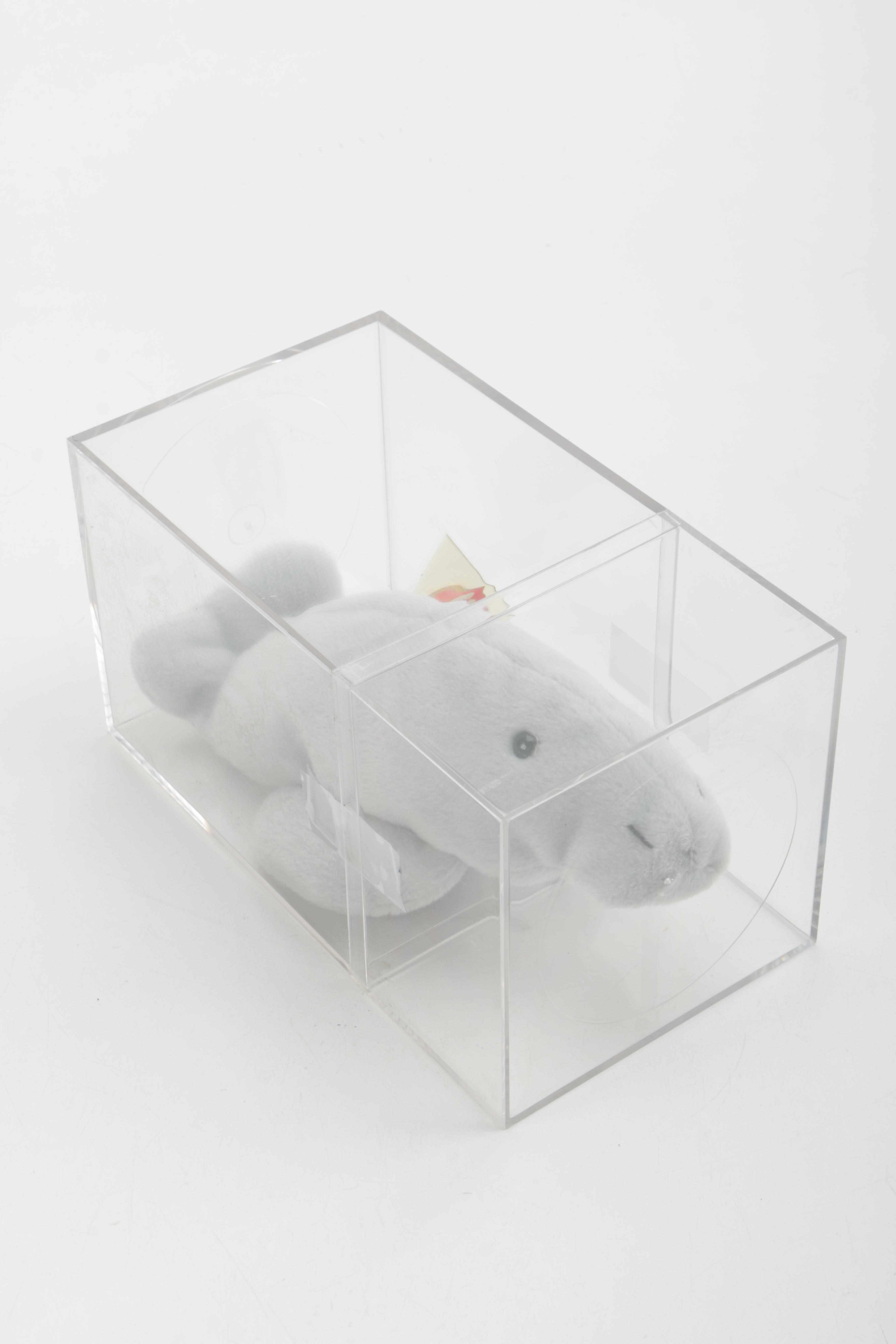 Beanie Baby Collection in Cases