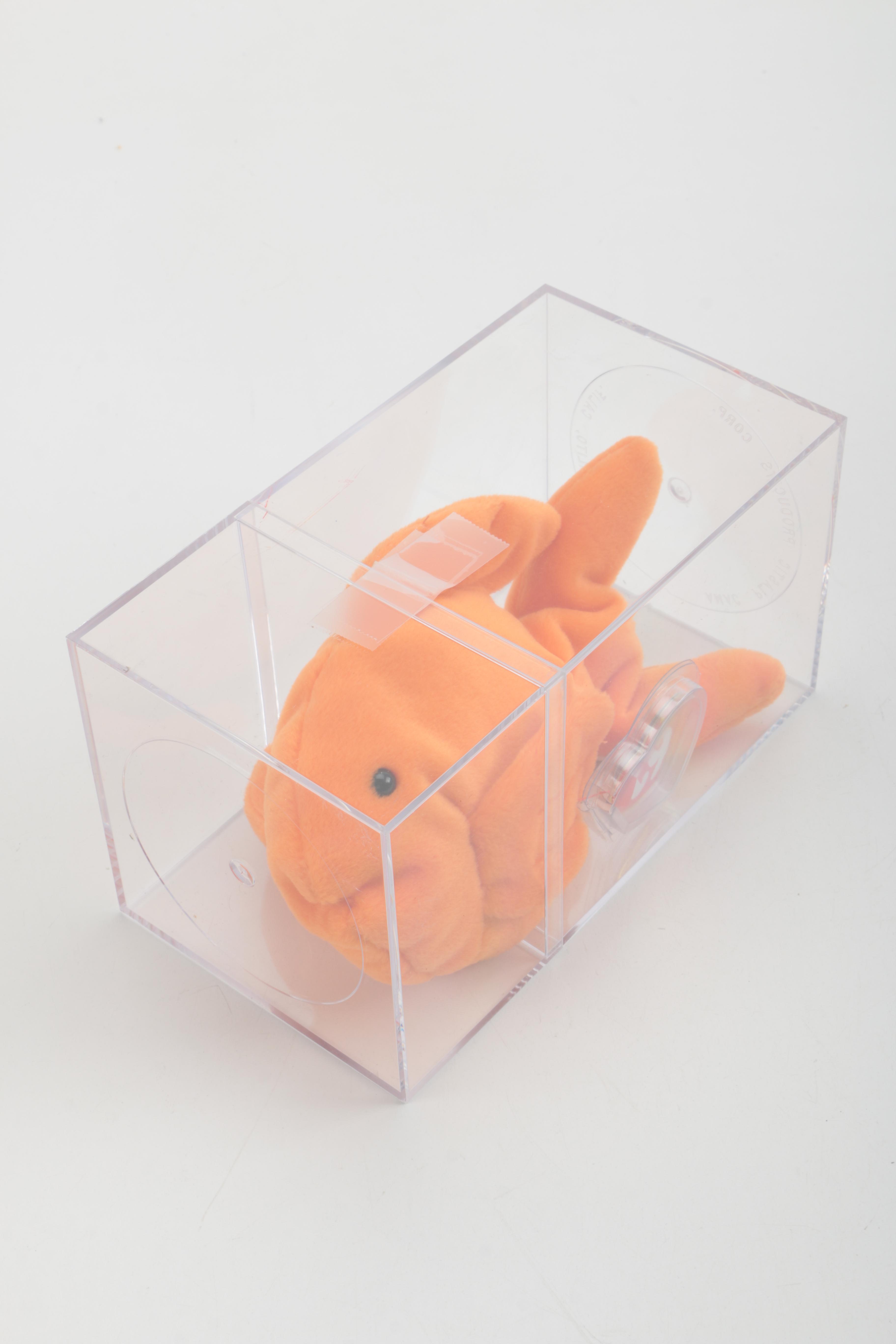 Beanie Baby Collection in Cases