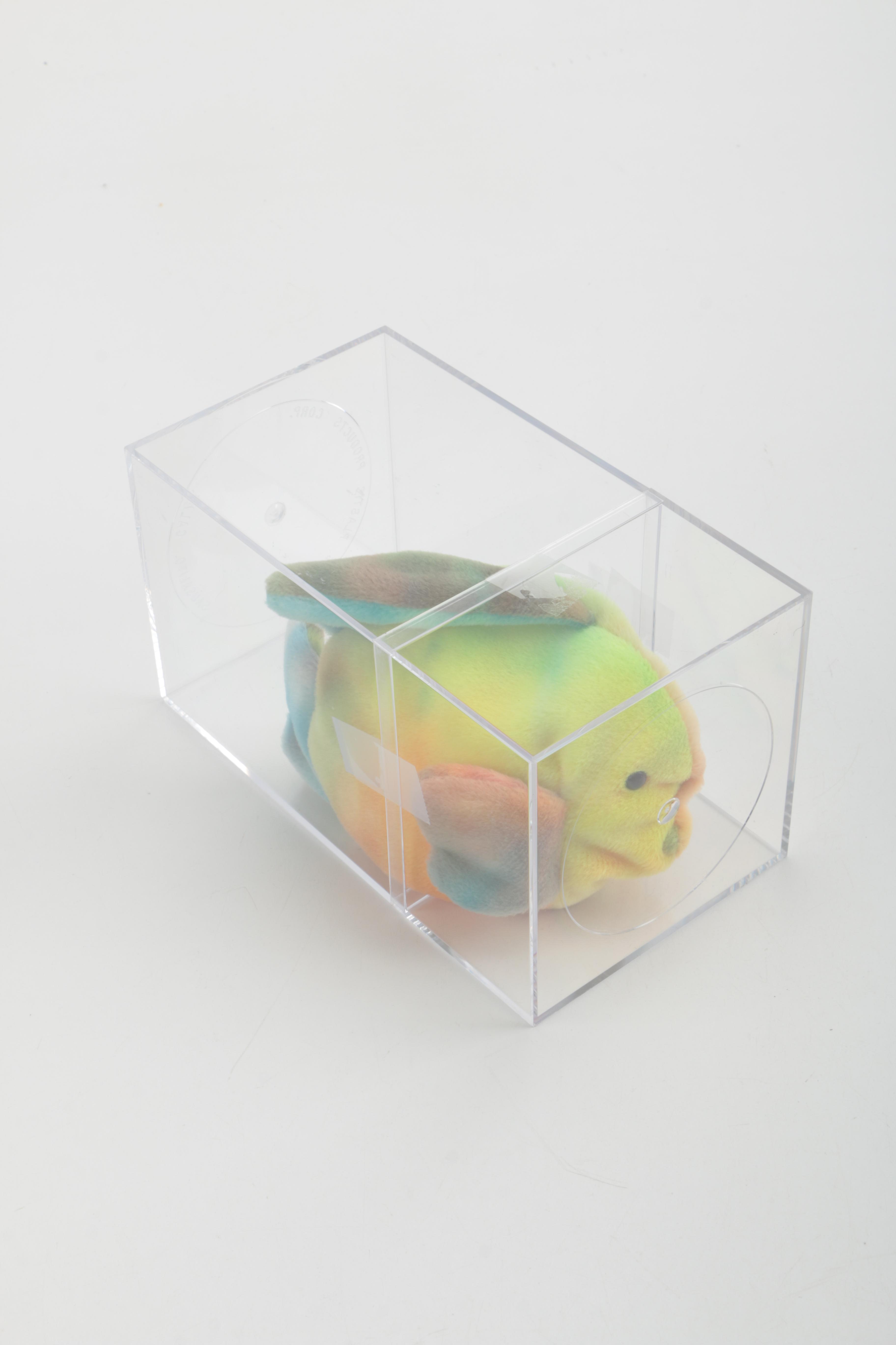 Beanie Baby Collection in Cases