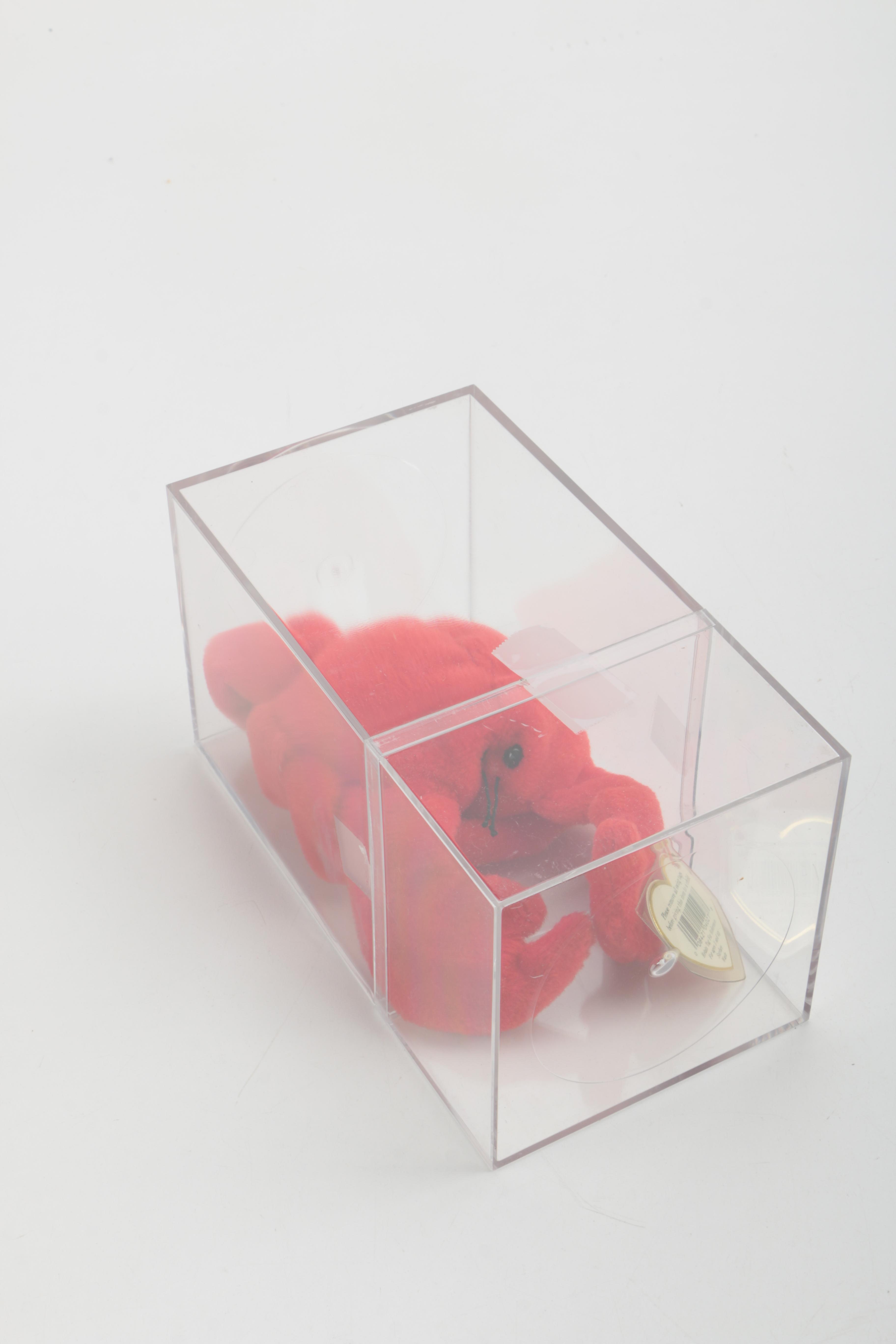 Beanie Baby Collection in Cases