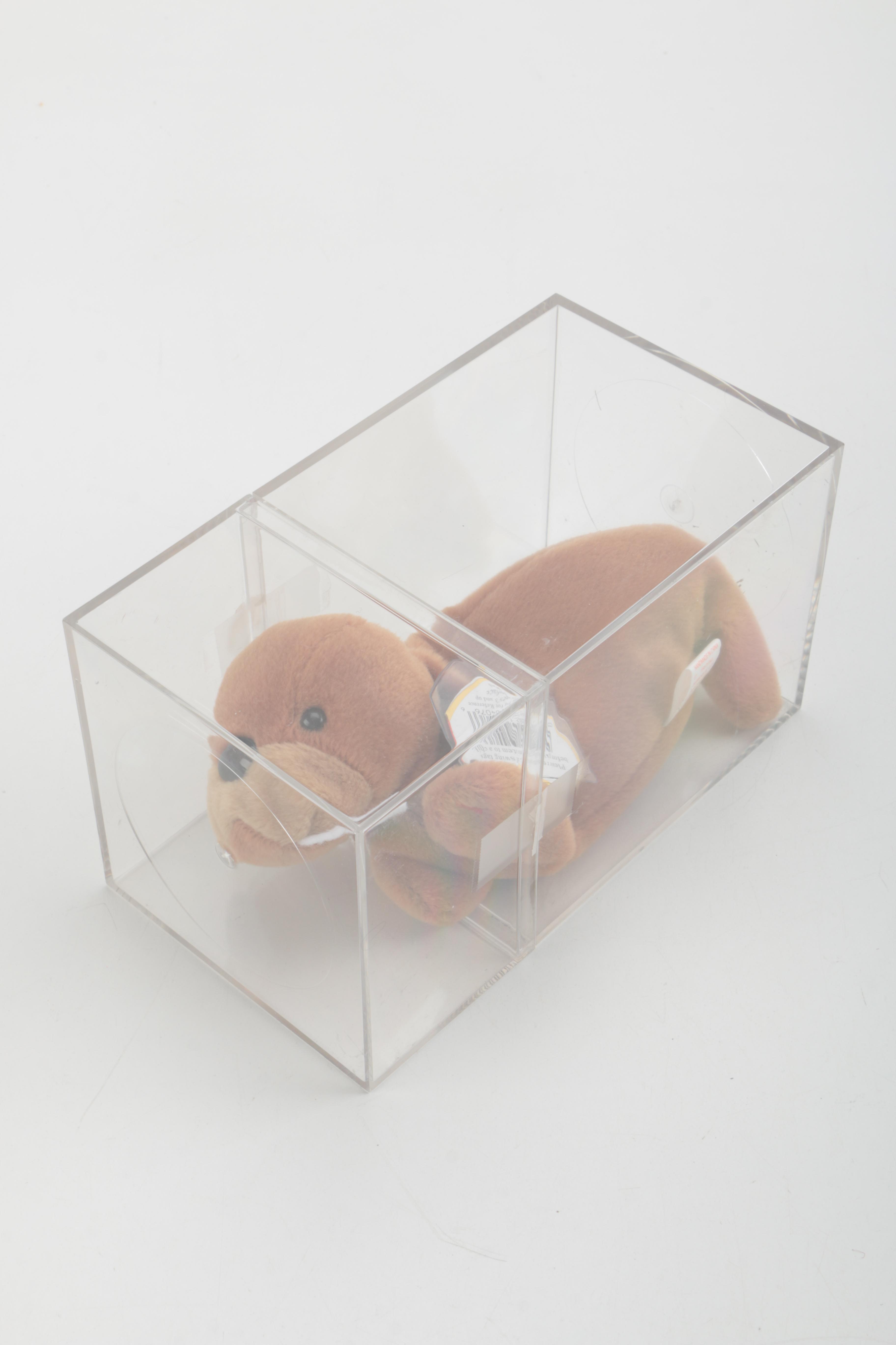 Beanie Baby Collection in Cases