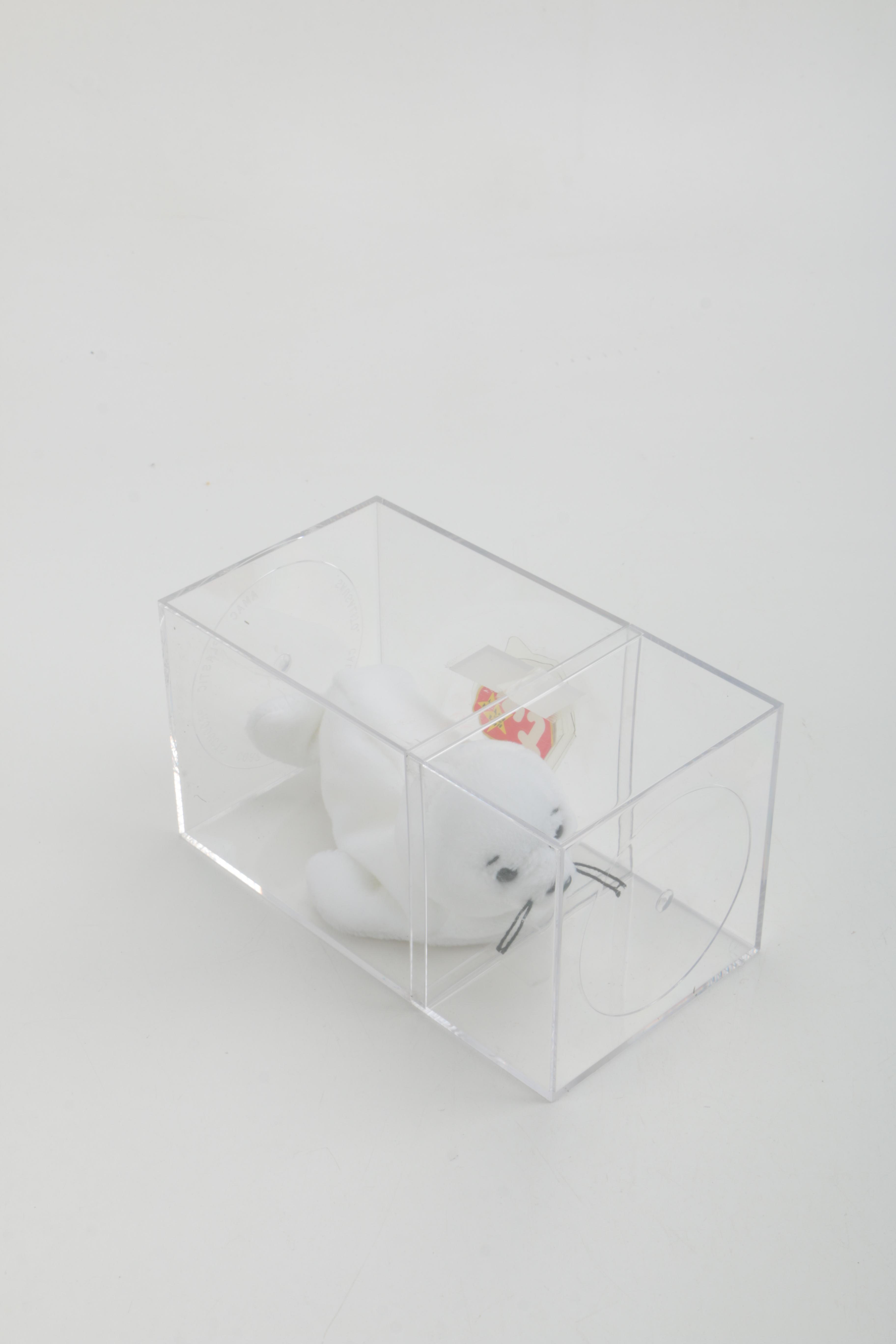 Beanie Baby Collection in Cases