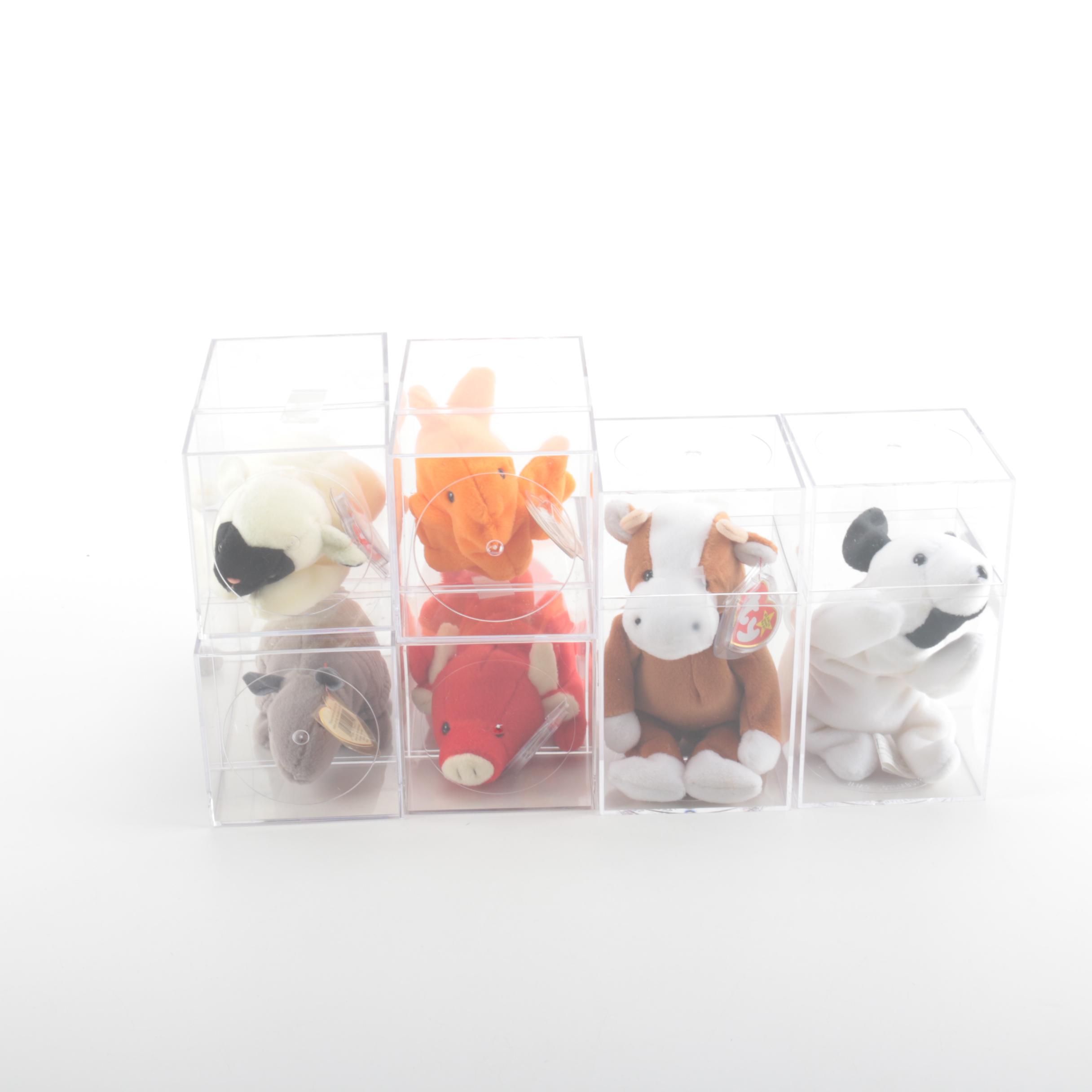 Assorted Animal TY Beanie Babies
