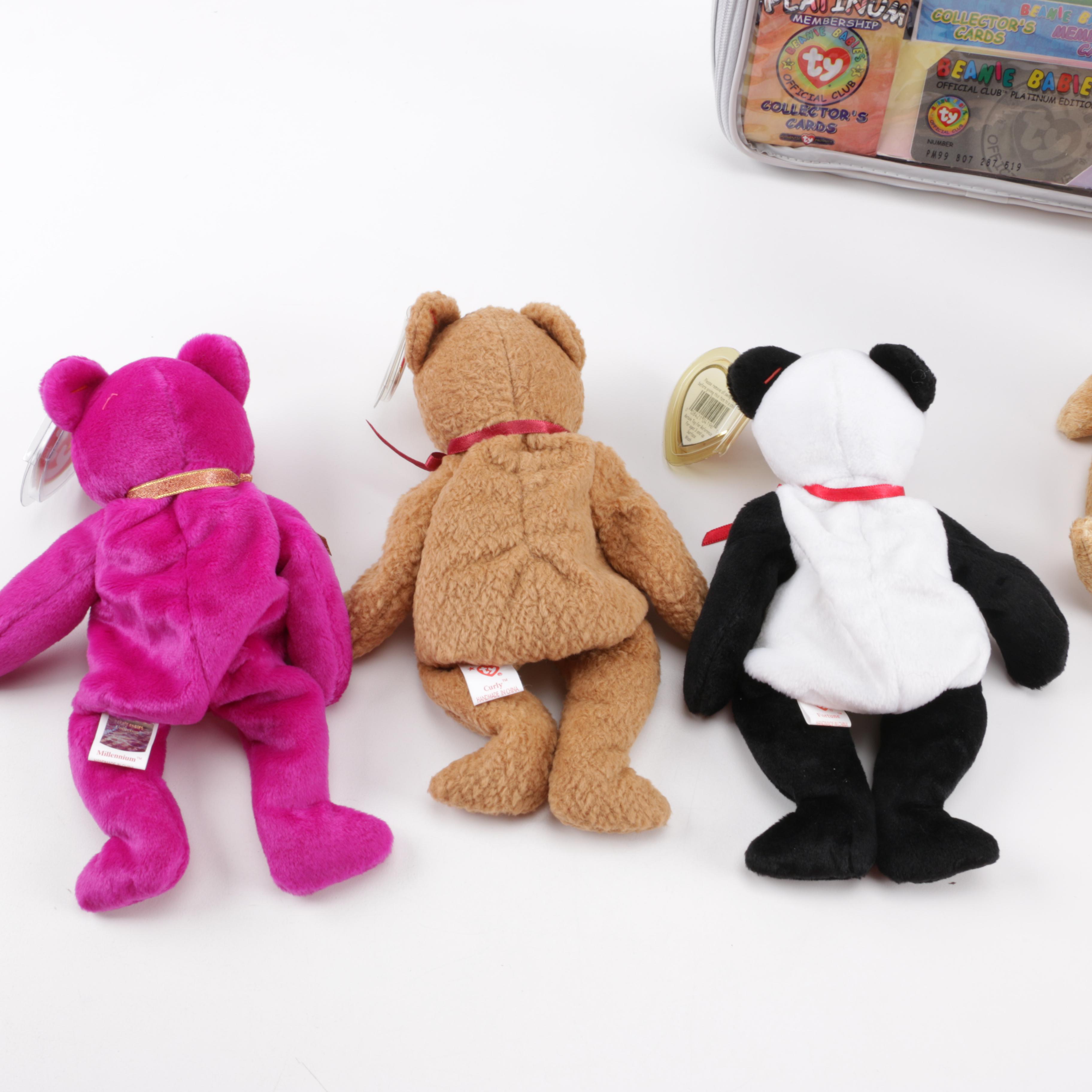 Beanie Babies Collection