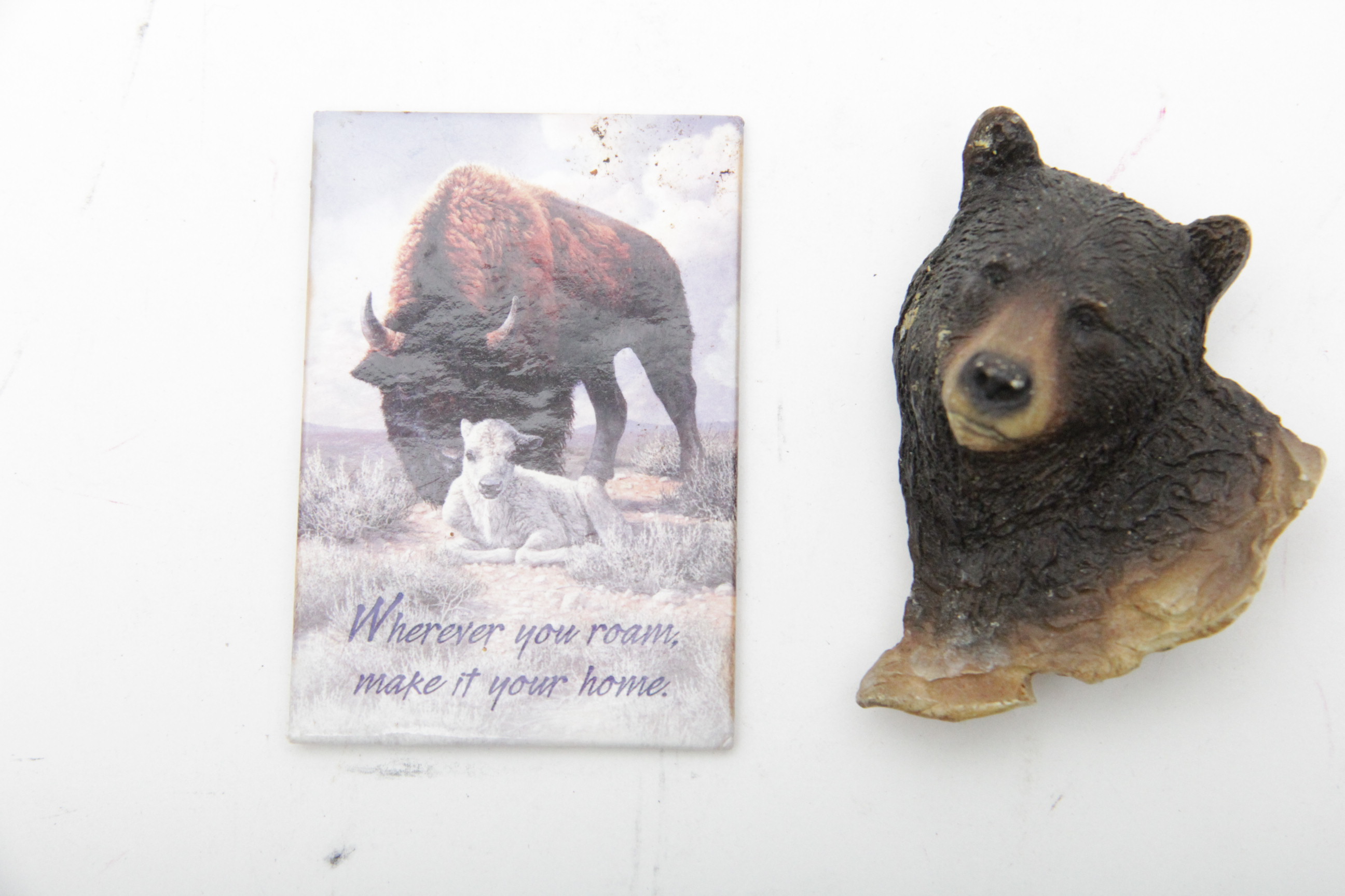 Assortment of Alaska Theme Magnets