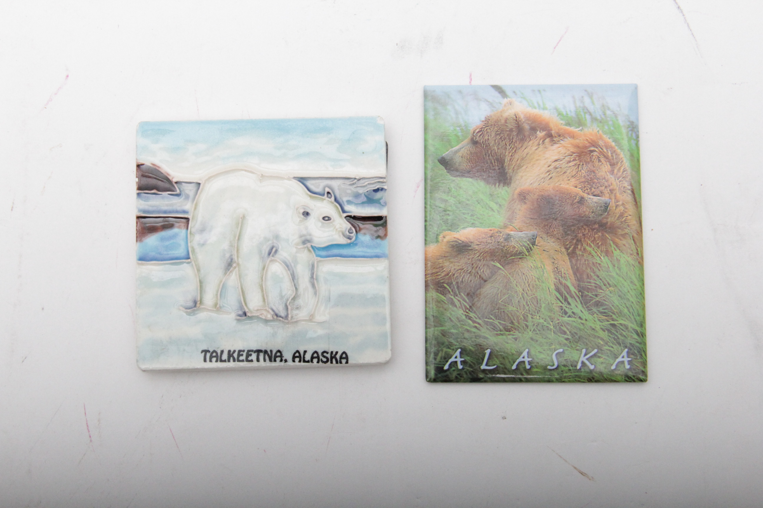 Assortment of Alaska Theme Magnets