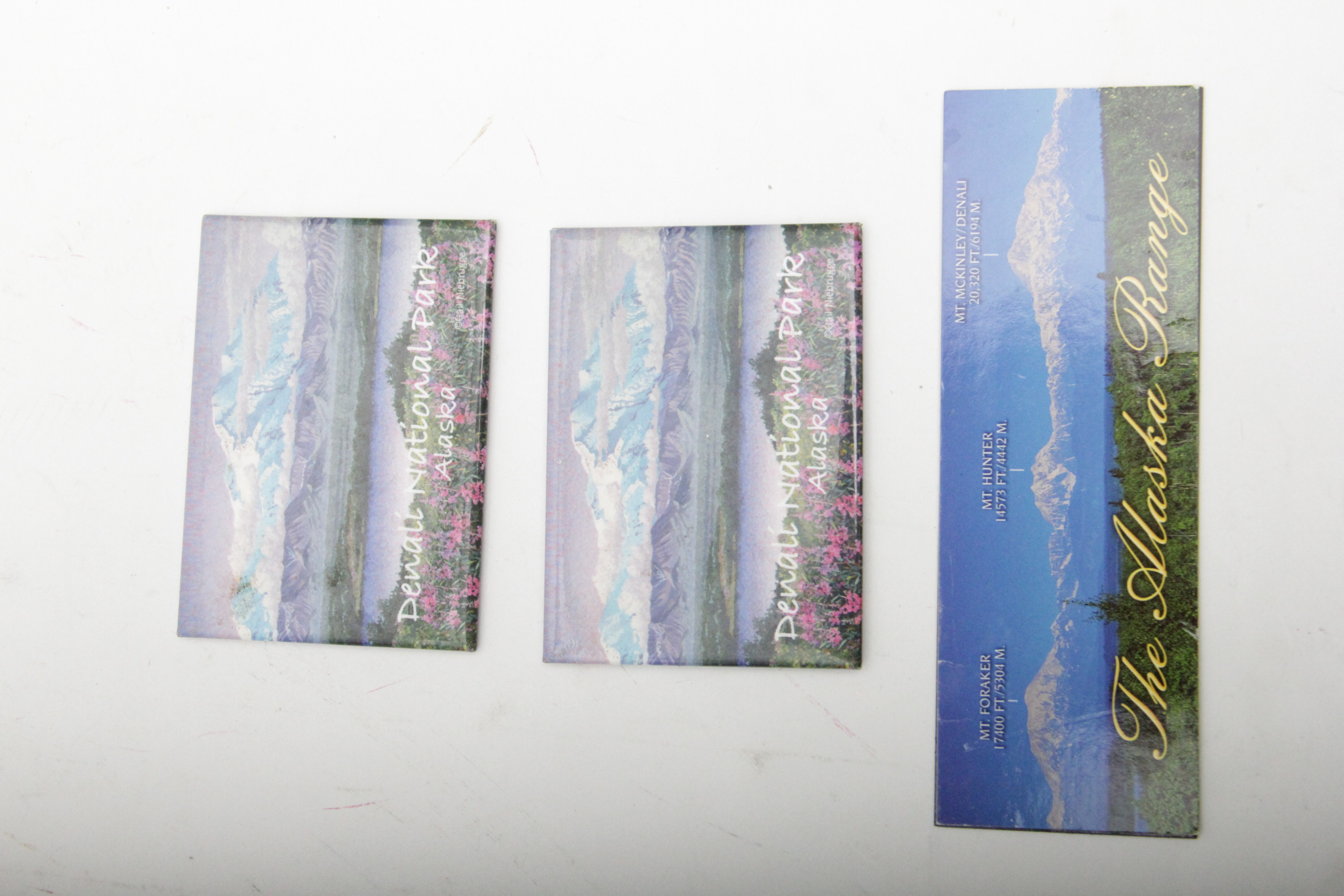 Assortment of Alaska Theme Magnets