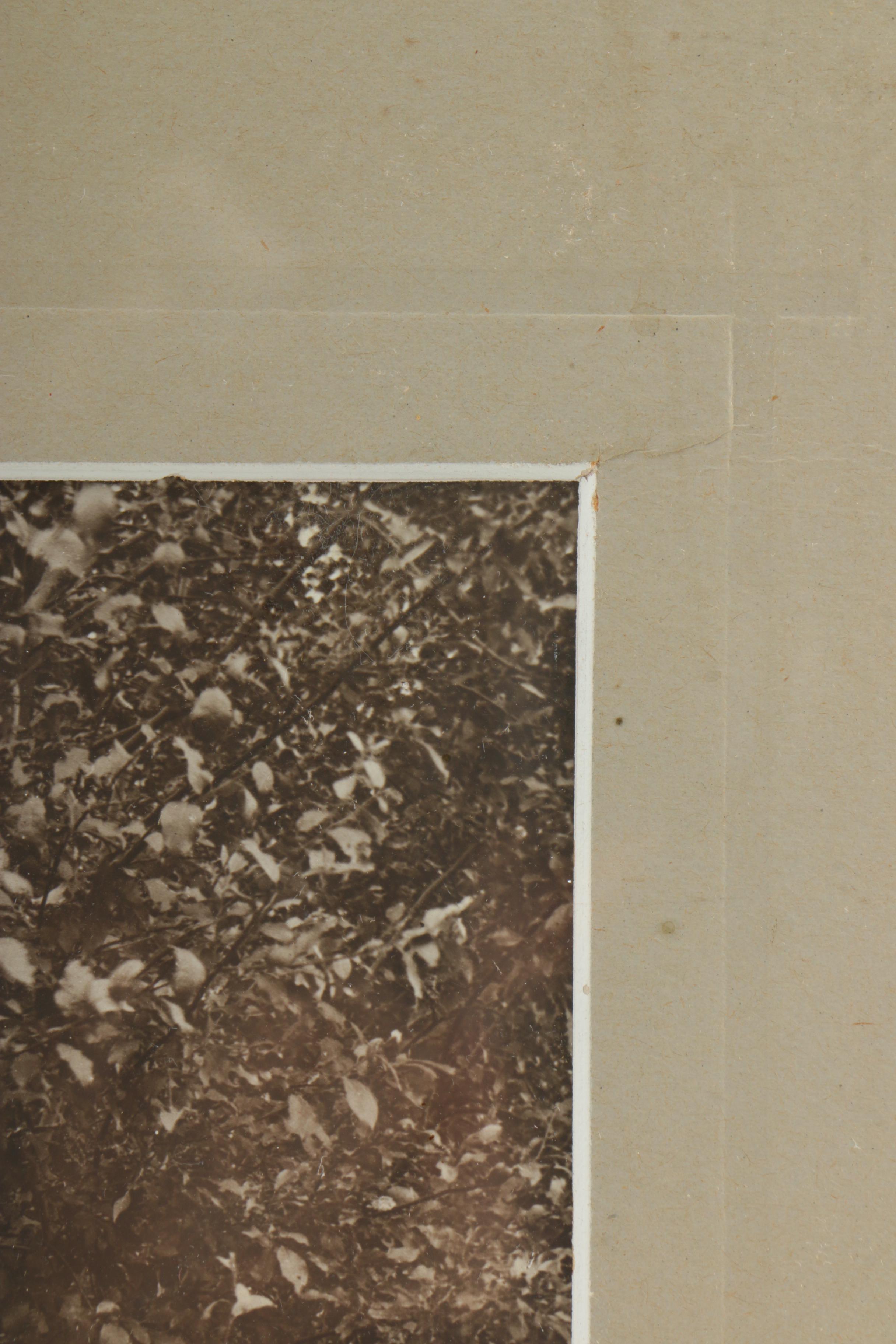 Turn of the Century Photograph of Two Victorian Era Women on a Hike