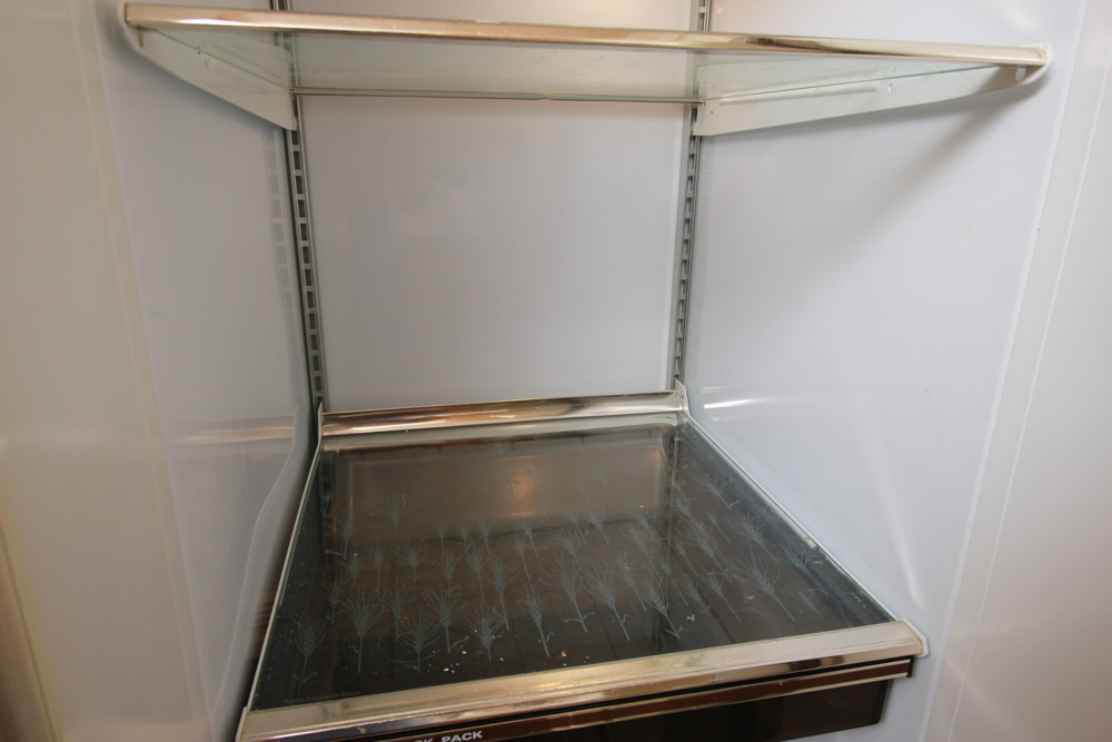 GE Refrigerator