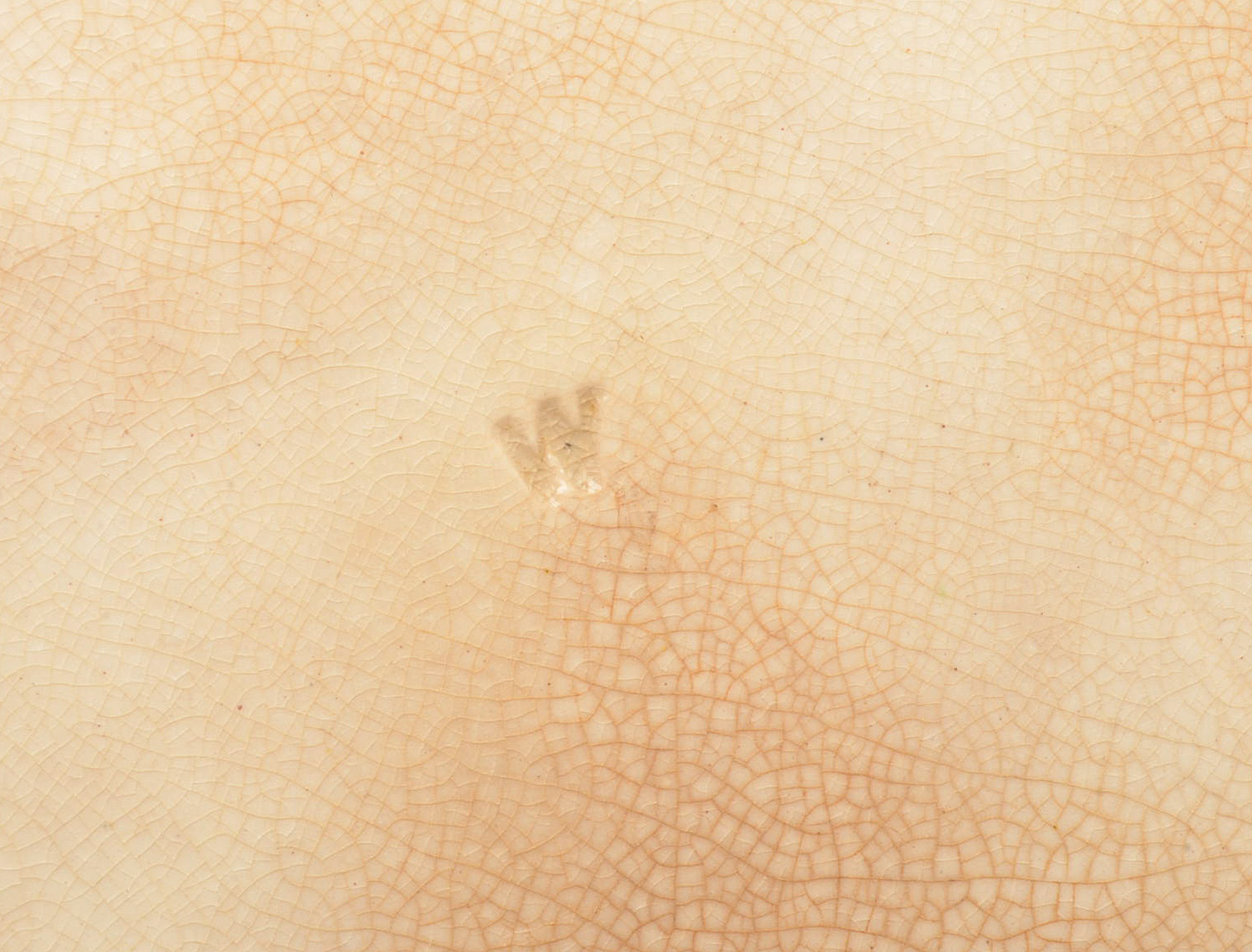 Antique  G. W. Turner and Sons Transferware "Phileau" Tureen