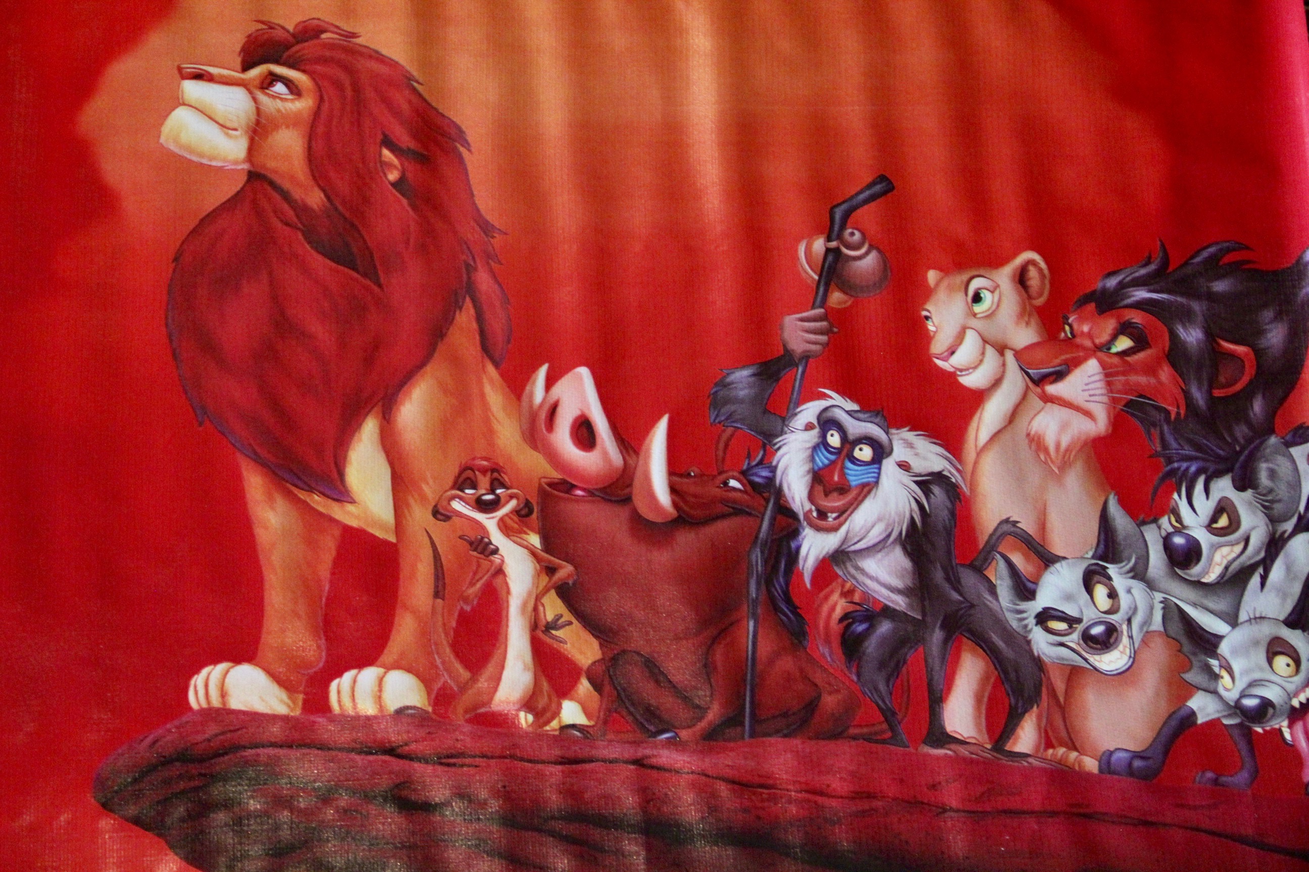 Disney's "The Lion King" Vinyl Movie Banner
