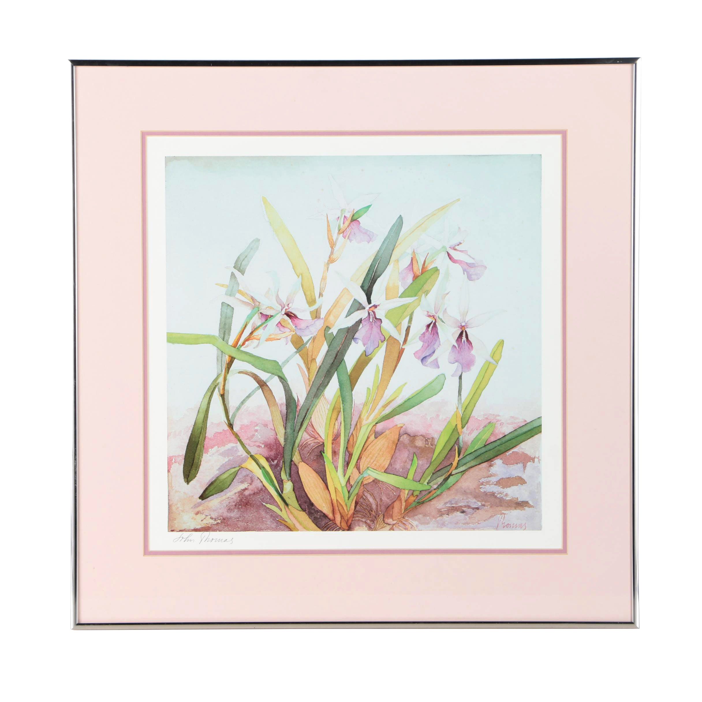 John Thomas Offset Lithograph of Flowers