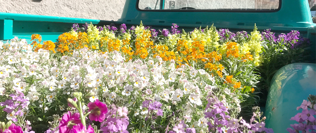 Keys to the City: Chicago, IL