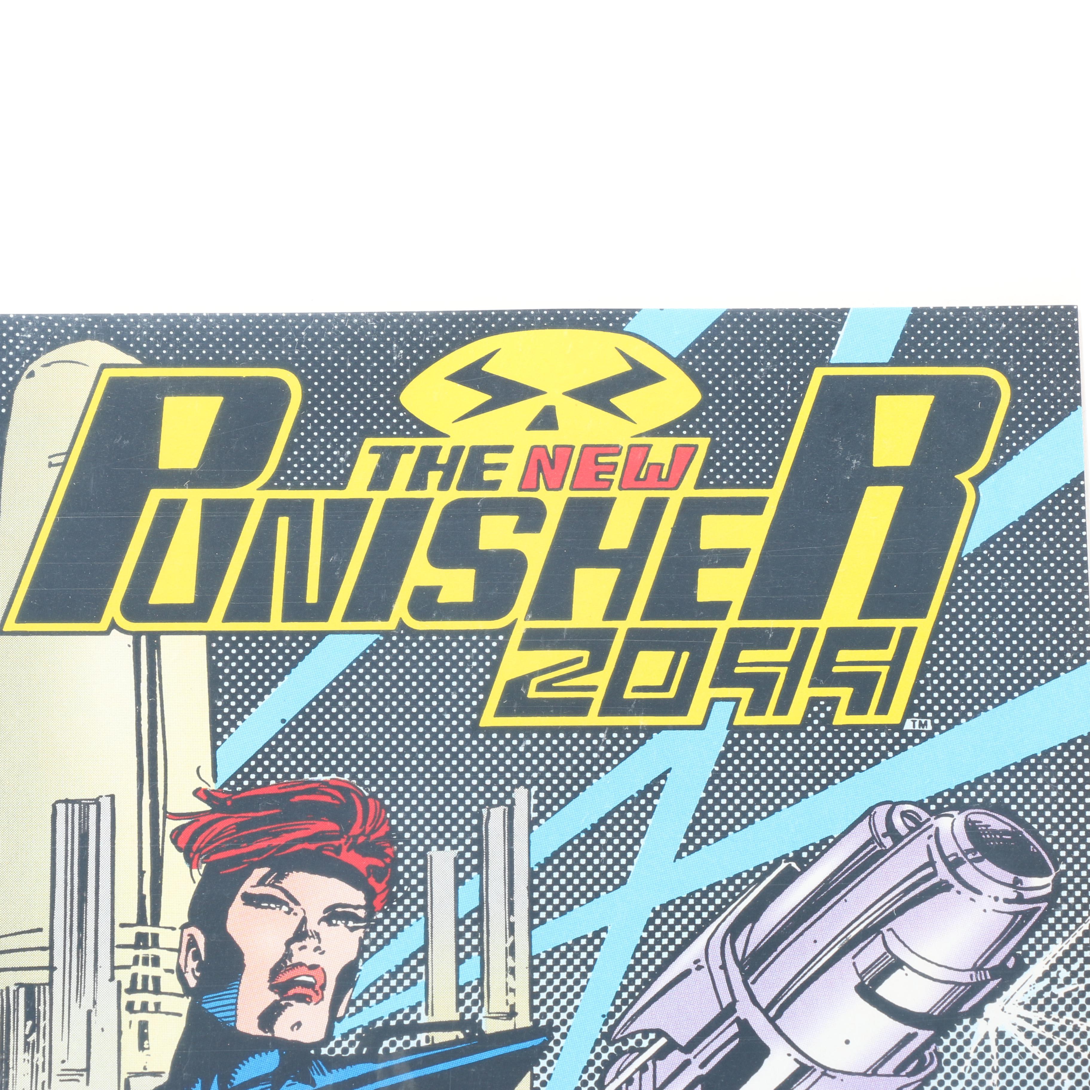 "The Punisher 2099" Issues 1-20