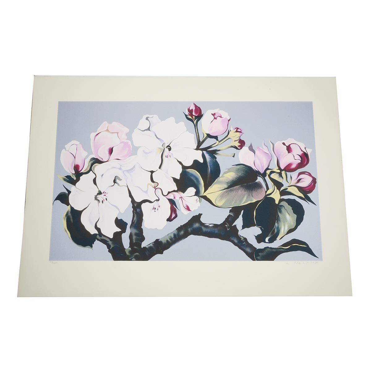 Lowell Nesbitt 1980 Signed Limited Edition Serigraph "Apple Blossom"