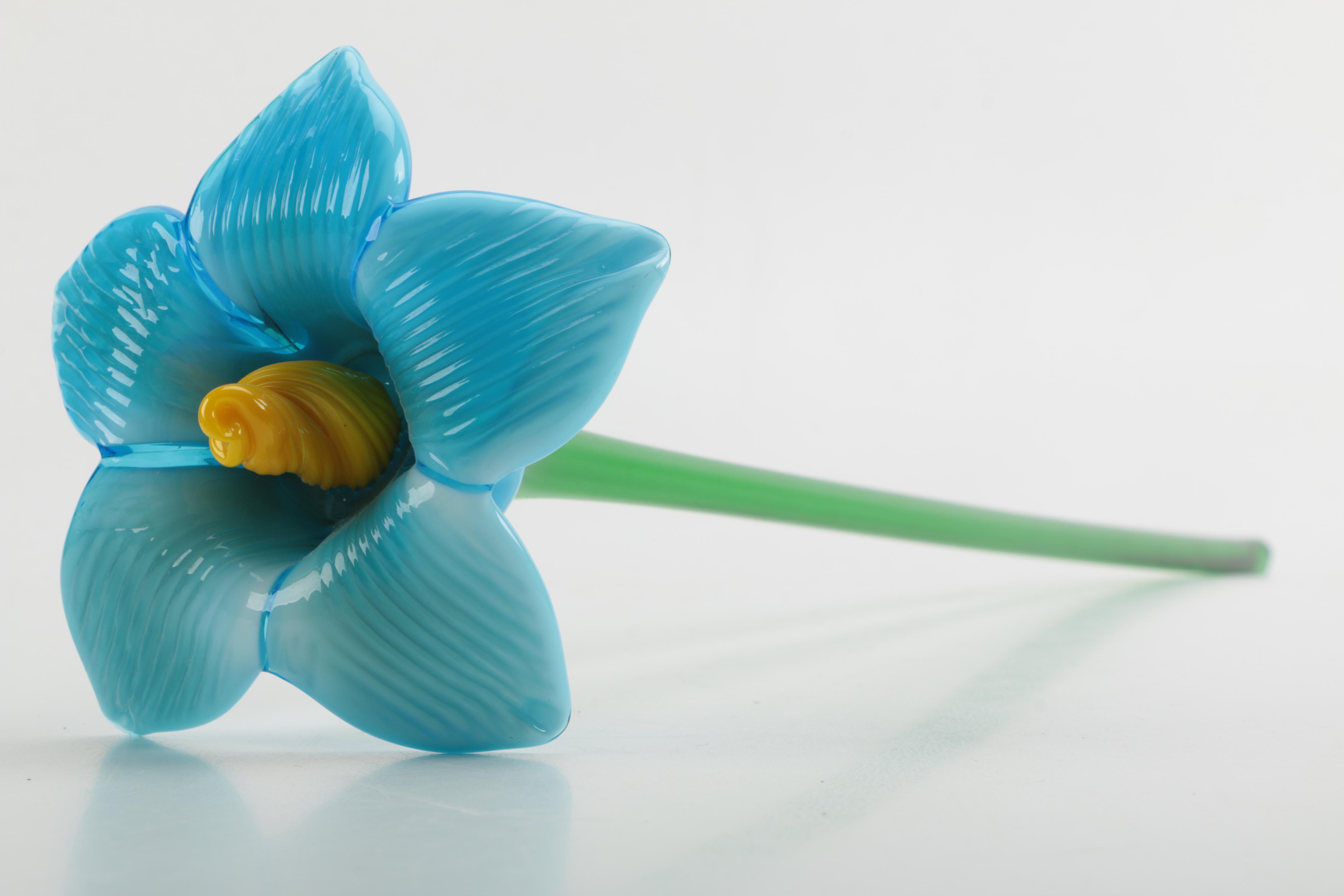 Hand-blown Glass Flowers