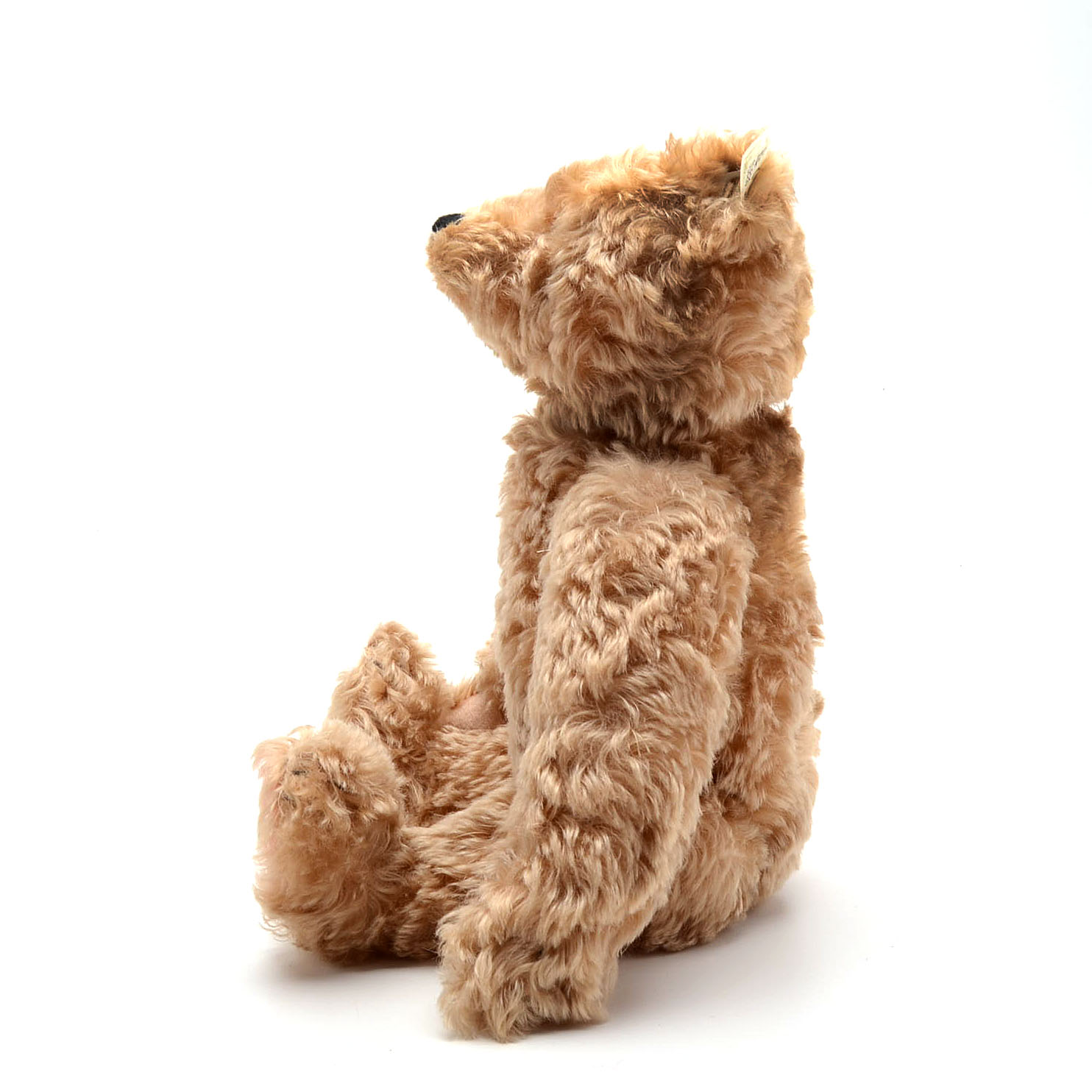Limited Edition Otto Steiff Teddy Bear