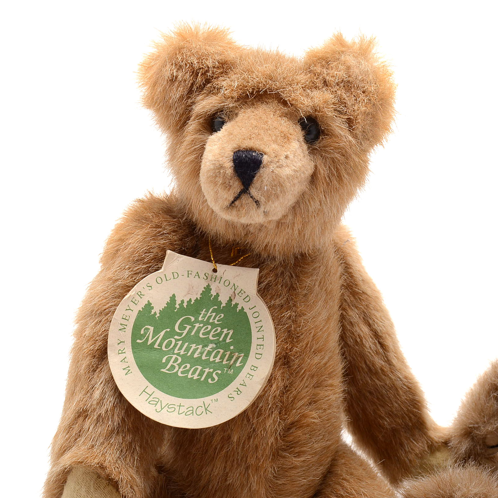 Large Assortment of Teddy Bears