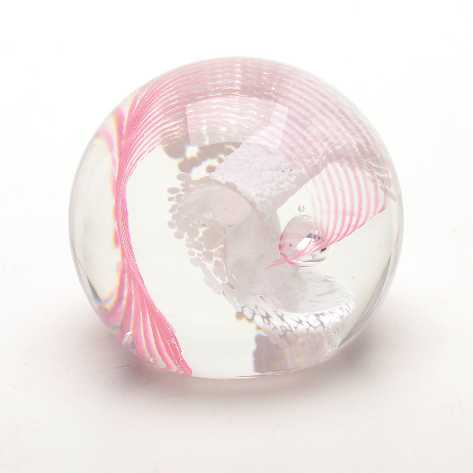 Assorted Glass Paperweights