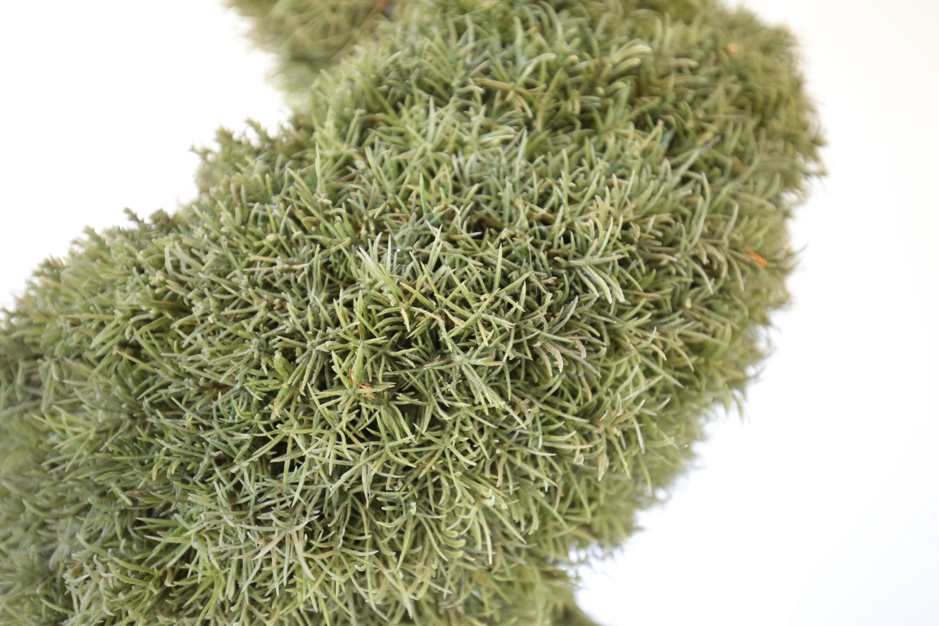 Pair of Faux Topiary Trees in Pots