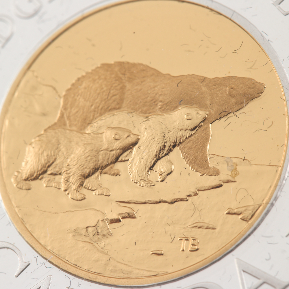 2000 Canadian Path of Knowledge Polar Bear $2 22kt Gold Coin