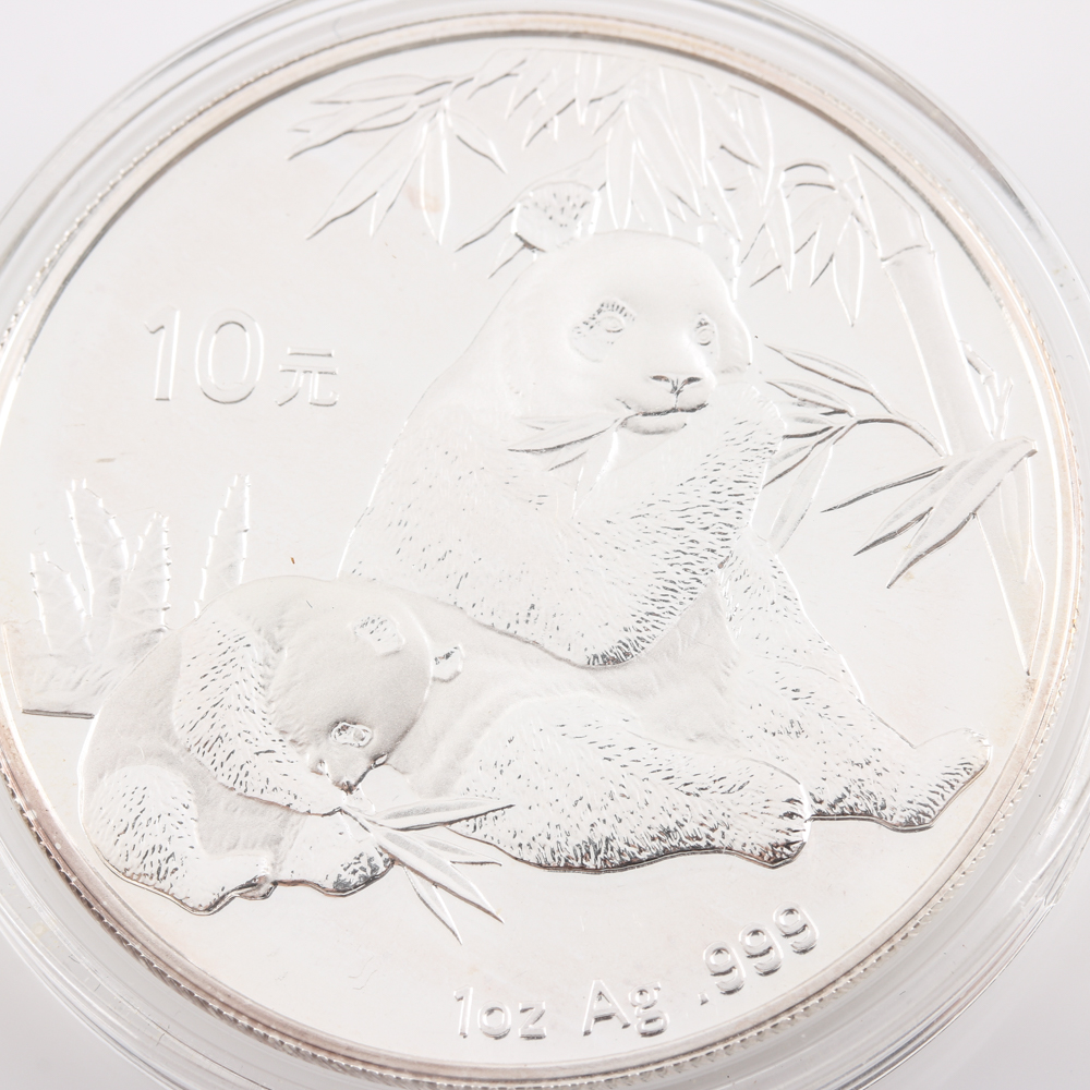 2007 Silver Panda 10 Yuan Coin