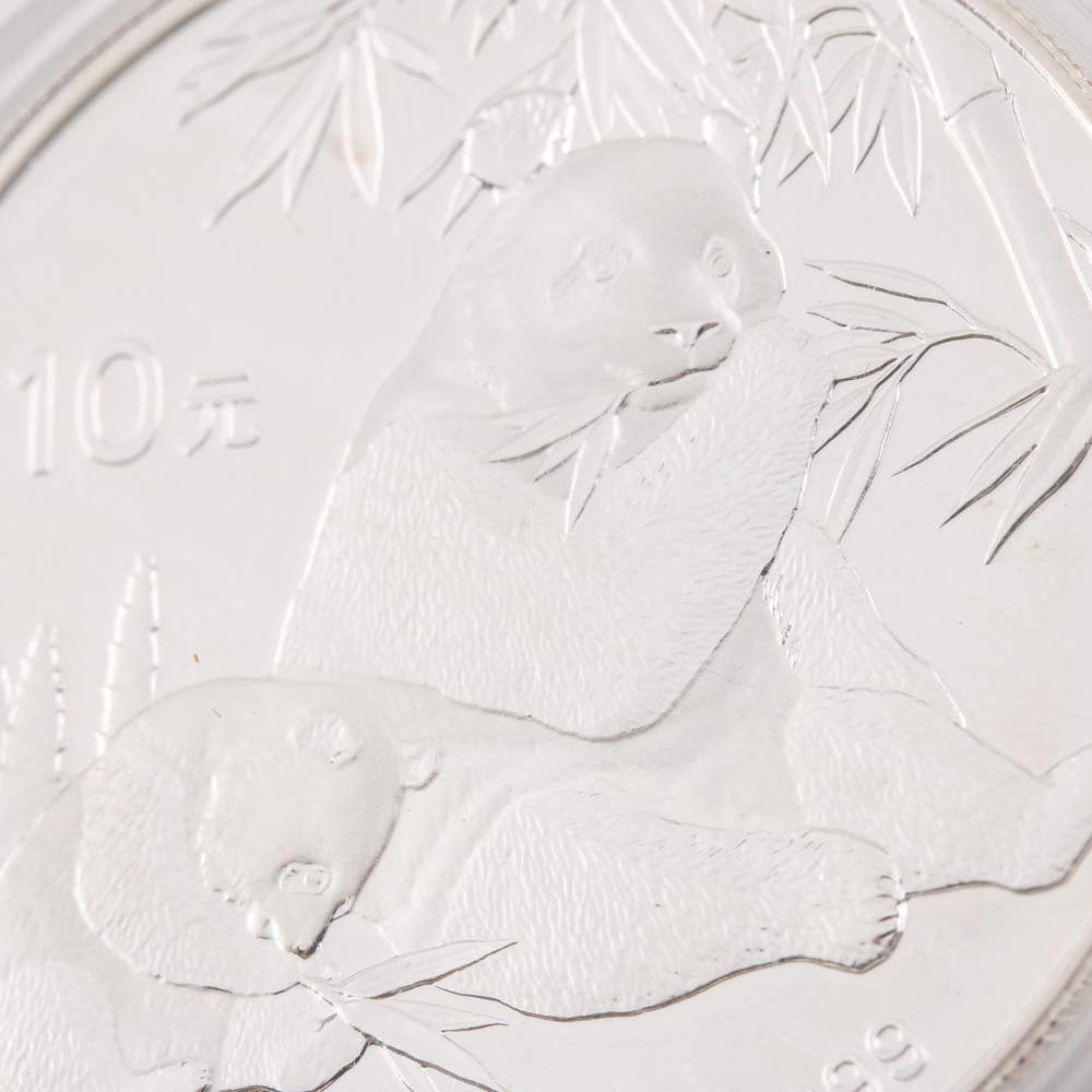 2007 Silver Panda 10 Yuan Coin