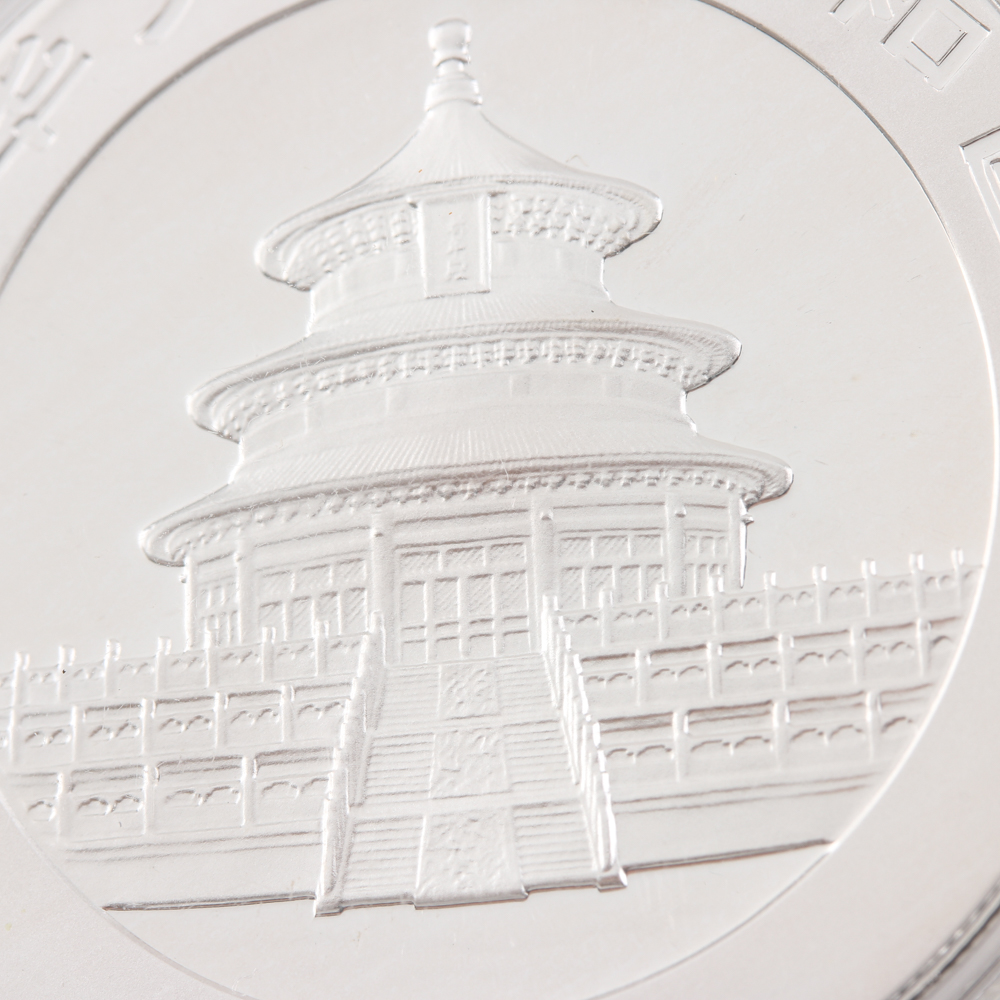 2007 Silver Panda 10 Yuan Coin