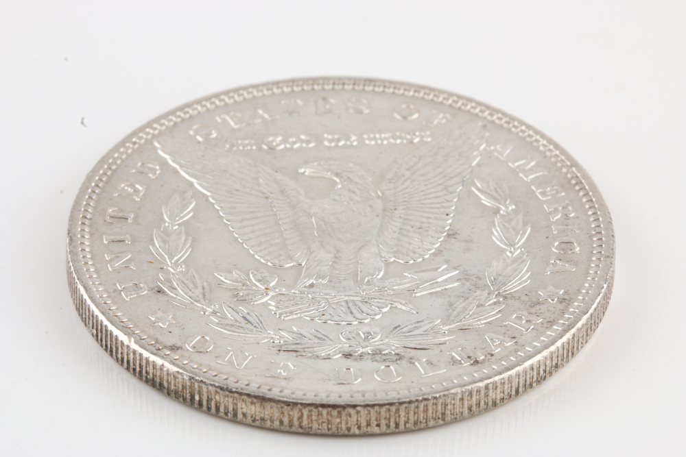 1896 Morgan Dollar