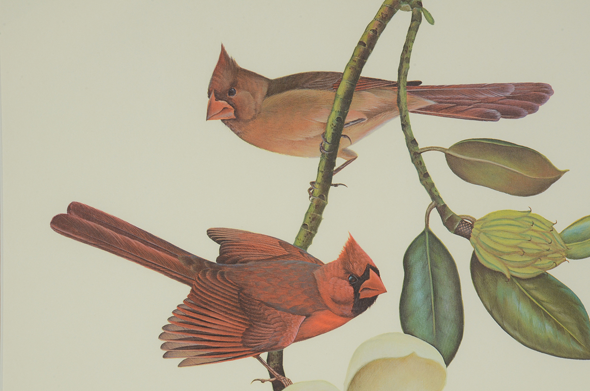 John Ruthven Signed 1967 Limited Edition Offset Lithograph "Cardinals"