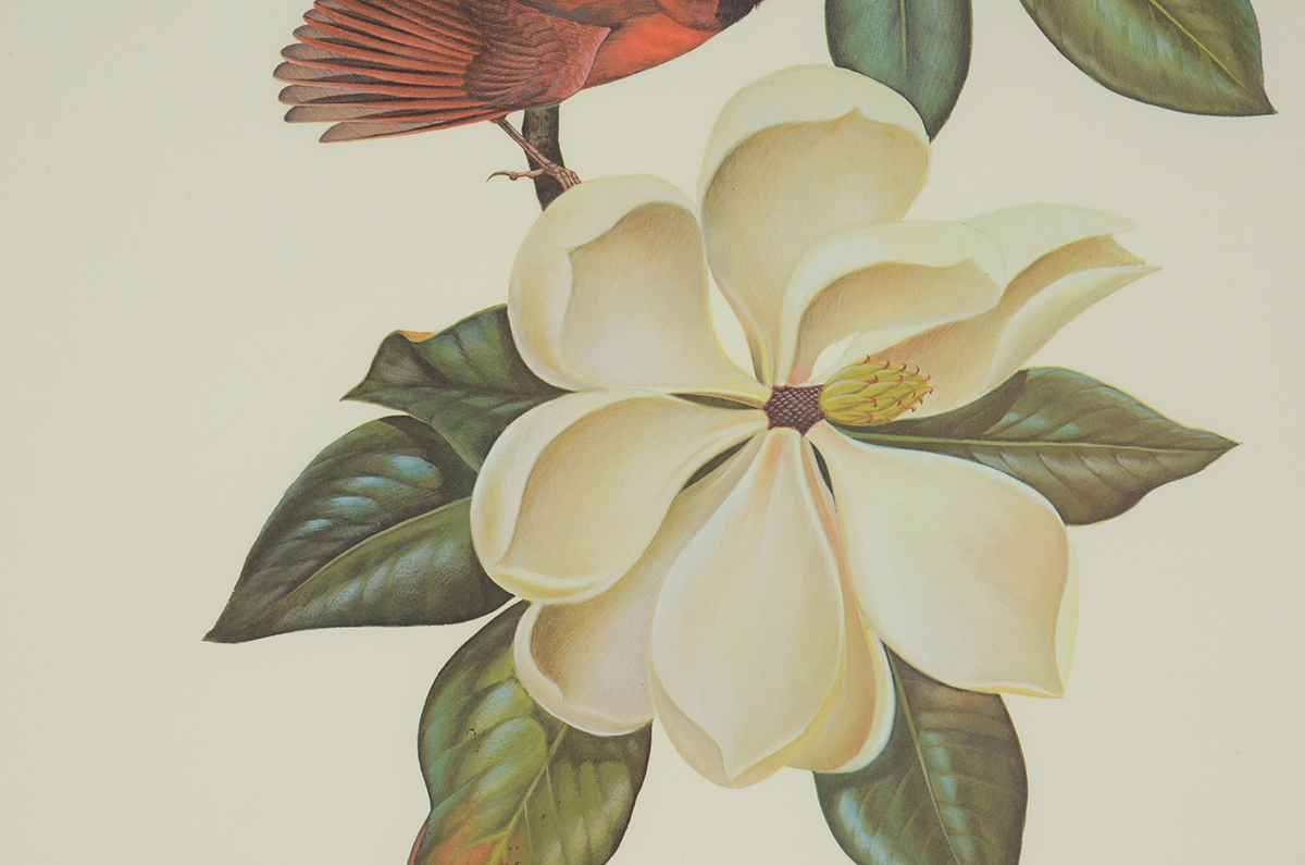 John Ruthven Signed 1967 Limited Edition Offset Lithograph "Cardinals"