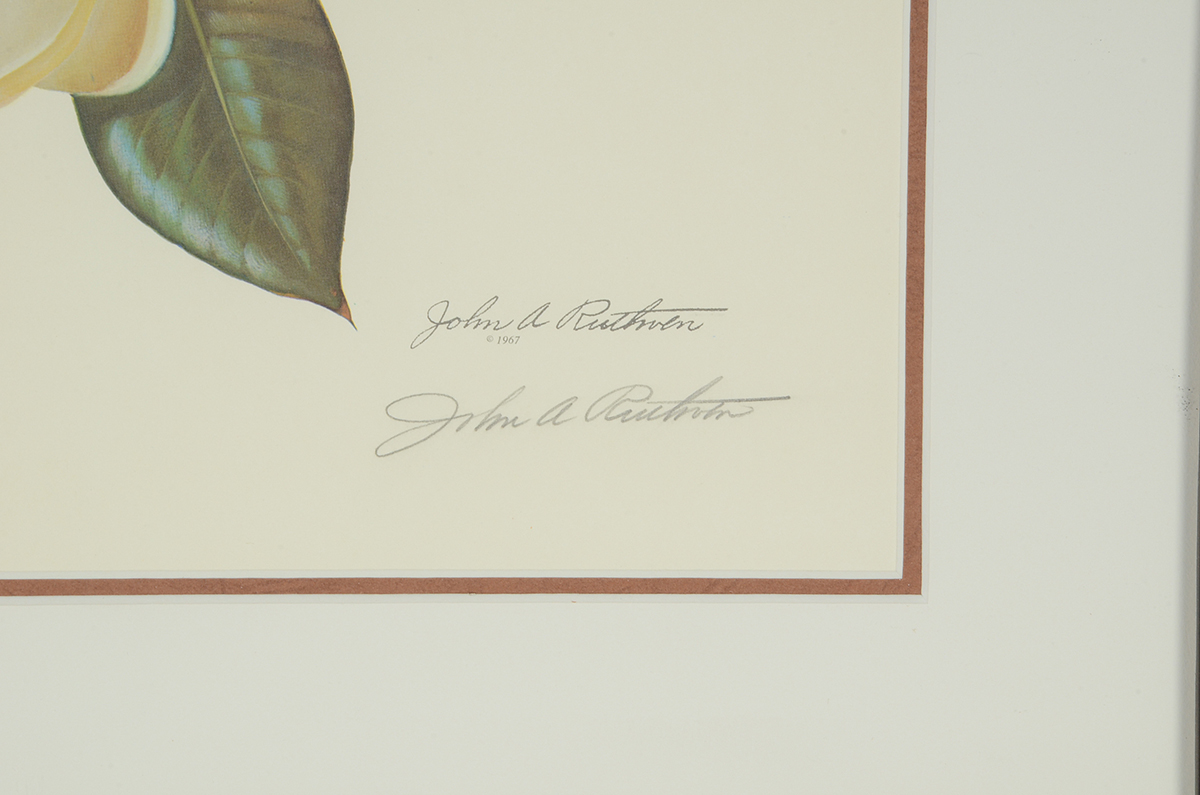 John Ruthven Signed 1967 Limited Edition Offset Lithograph "Cardinals"