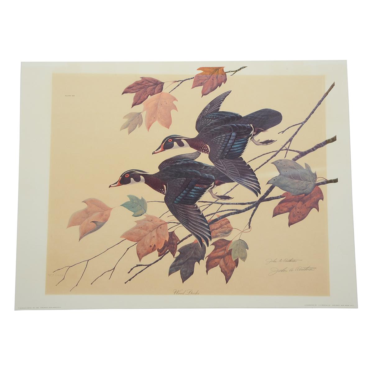 John Ruthven Signed 1968 Limited Edition Offset Lithograph "Wood Ducks"