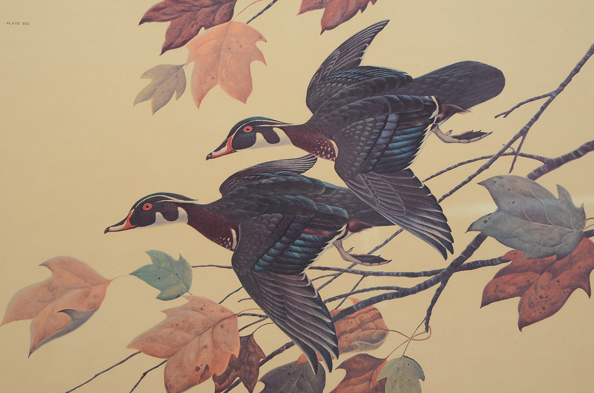 John Ruthven Signed 1968 Limited Edition Offset Lithograph "Wood Ducks"